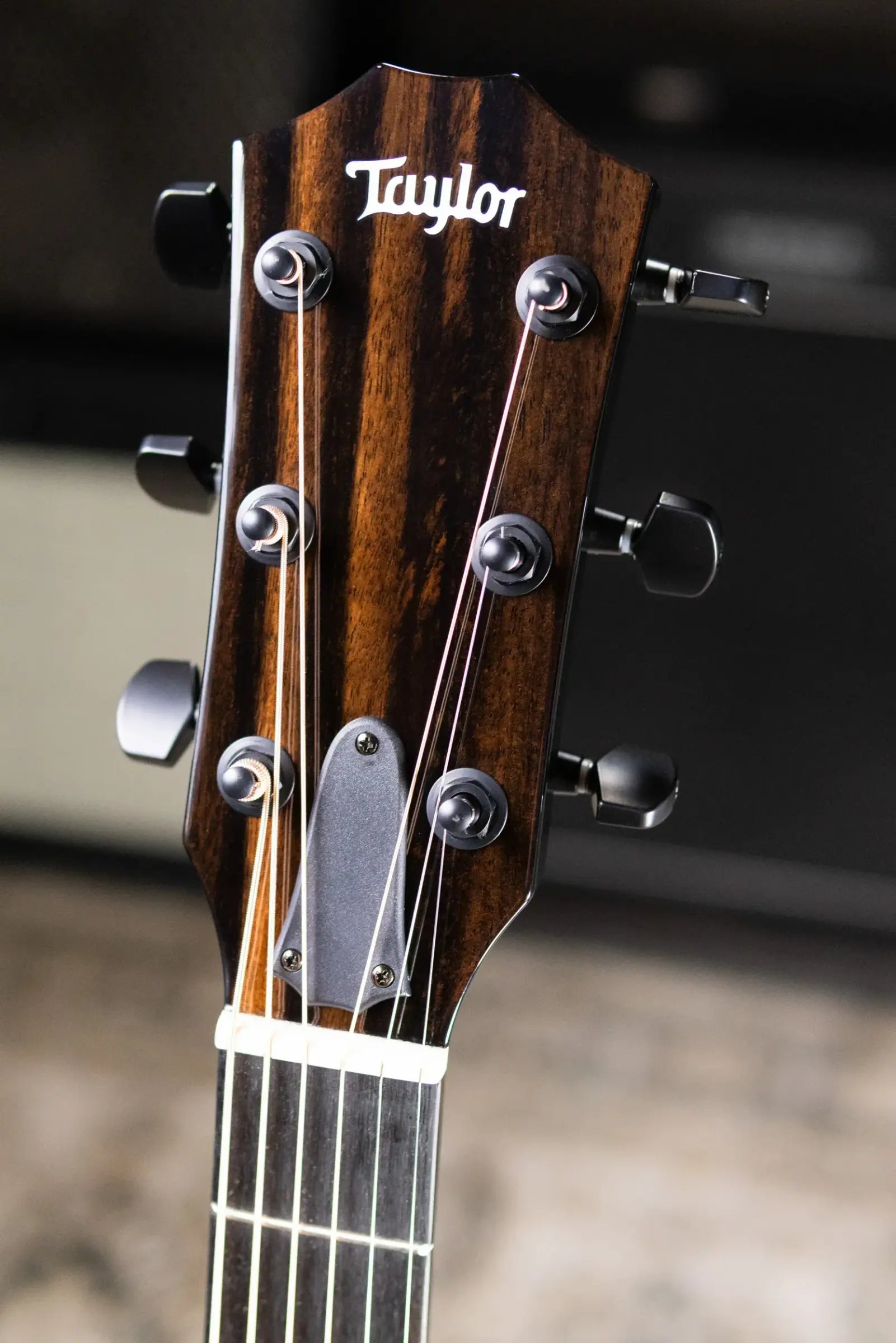 Taylor 217e-BLK Plus Grand Pacific Acoustic/Electric Guitar - Black with Aerocase