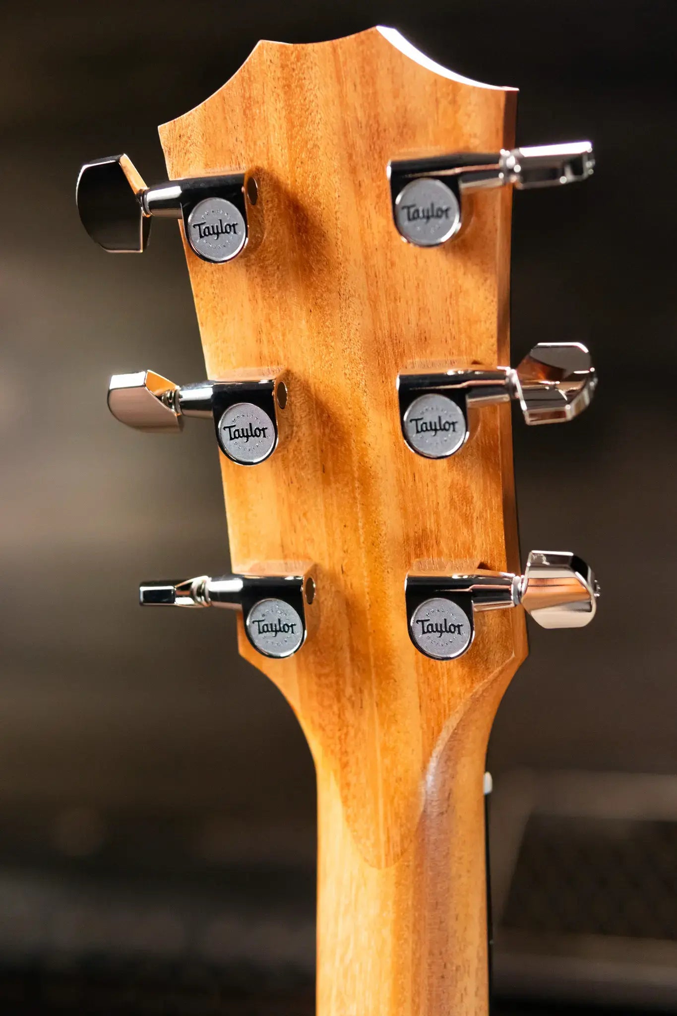 Taylor 217e Plus Grand Pacific Acoustic/Electric Guitar - Sunburst with Aerocase - Factory Demo