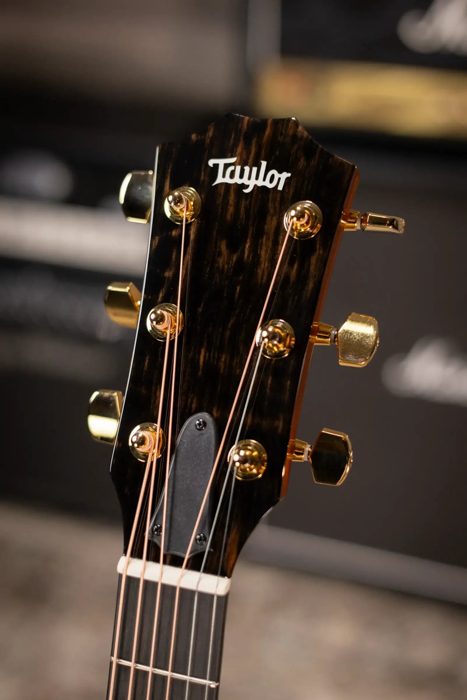 Taylor 217e Plus Special Edition Grand Pacific Acoustic/Electric Guitar - Honeyburst with Aerocase