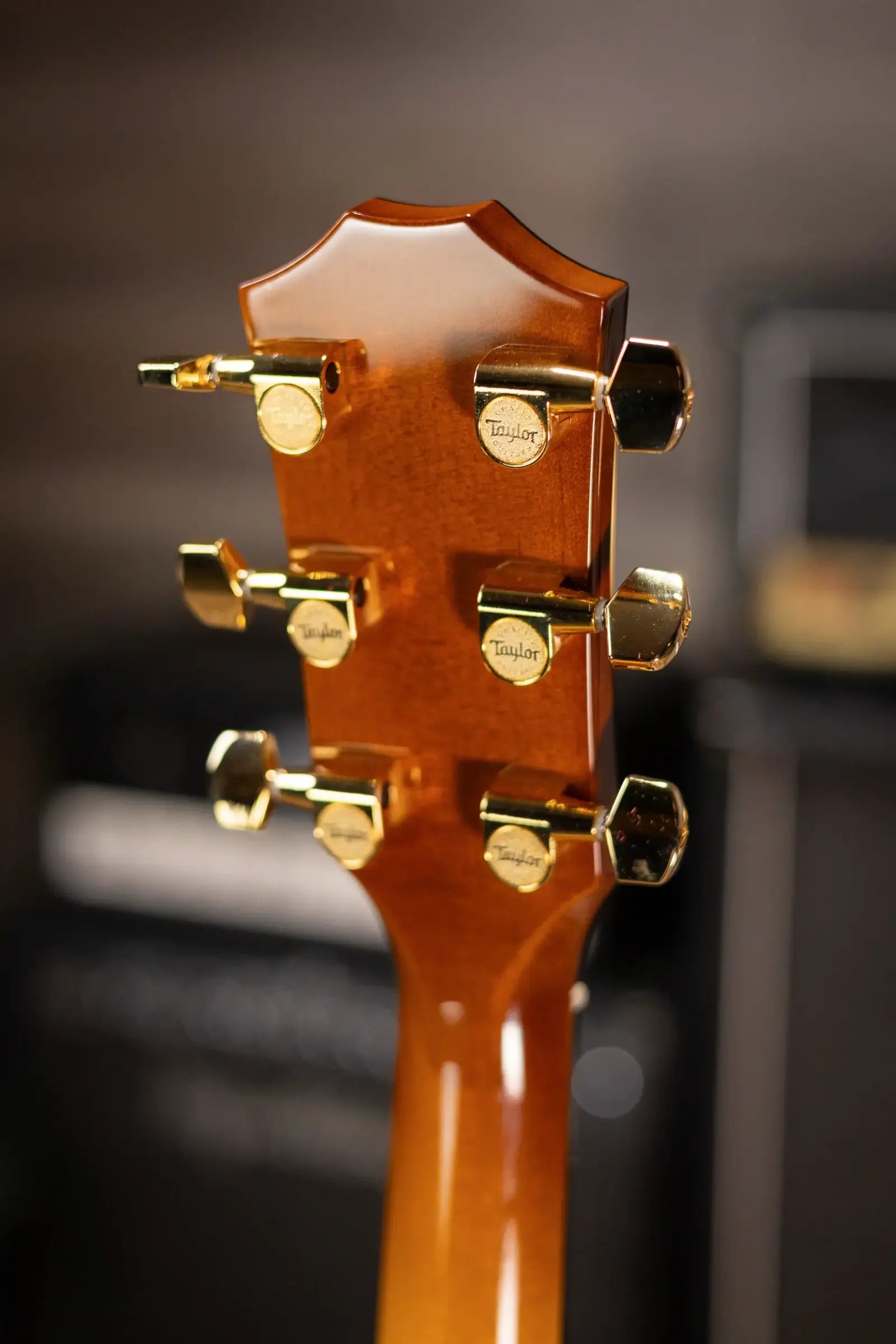 Taylor 217e Plus Special Edition Grand Pacific Acoustic/Electric Guitar - Honeyburst with Aerocase