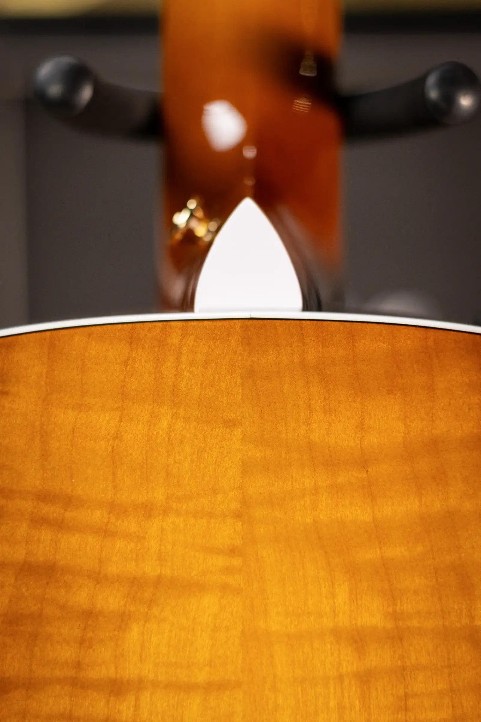 Taylor 217e Plus Special Edition Grand Pacific Acoustic/Electric Guitar - Honeyburst with Aerocase