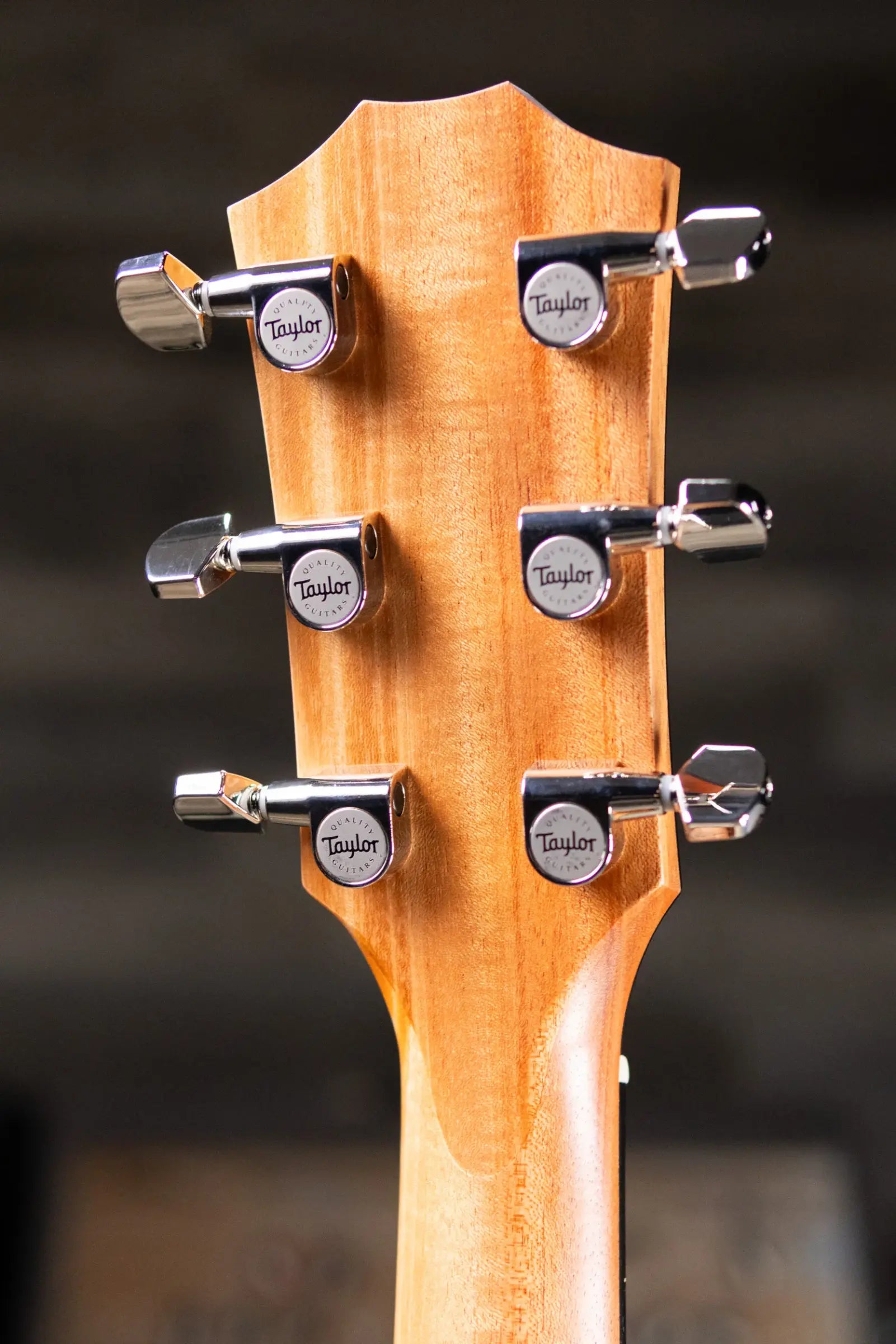 Taylor 217e-SB Plus Grand Pacific Acoustic/Electric Guitar - Sunburst with Aerocase