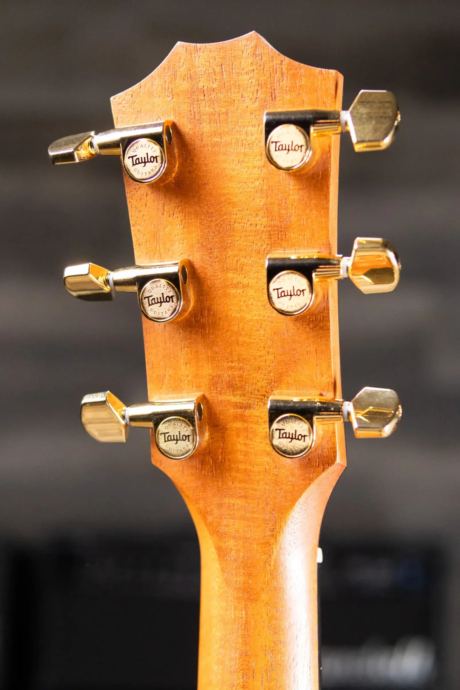 Taylor 217e-SB Plus LTD Grand Pacific Acoustic/Electric Guitar - Sunburst with Aerocase - Floor Model Demo