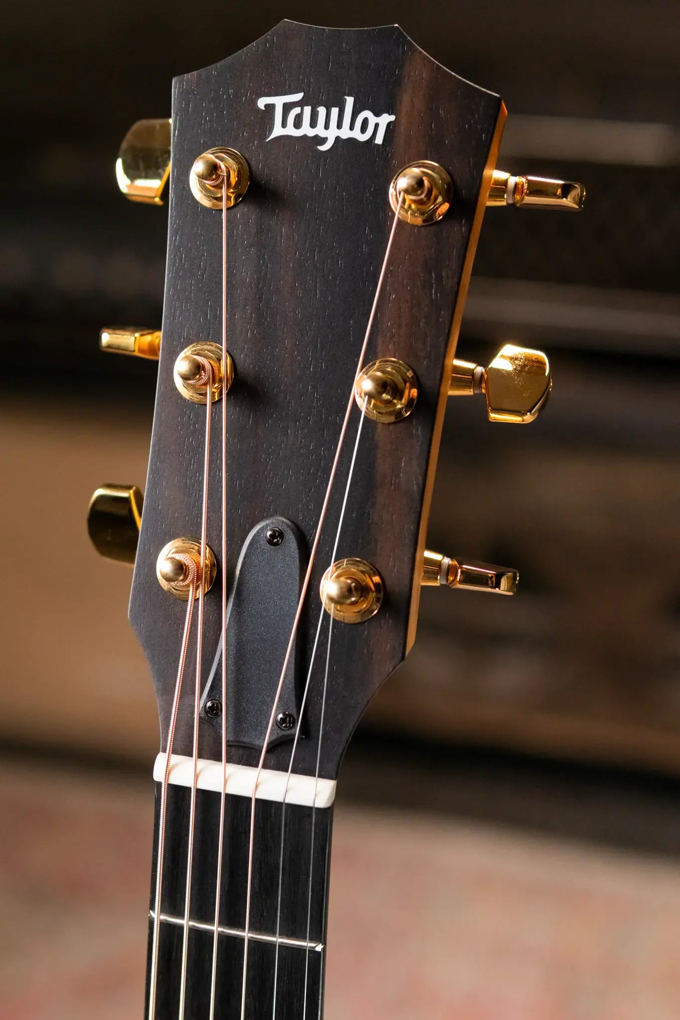 Taylor 224ce-K DLX Grand Auditorium Acoustic/Electric Guitar with Hardshell Case - Factory Demo