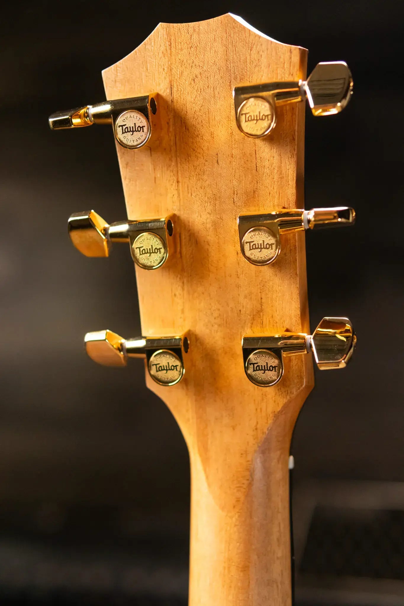Taylor 224ce-K DLX Grand Auditorium Acoustic/Electric Guitar with Hardshell Case - Factory Demo
