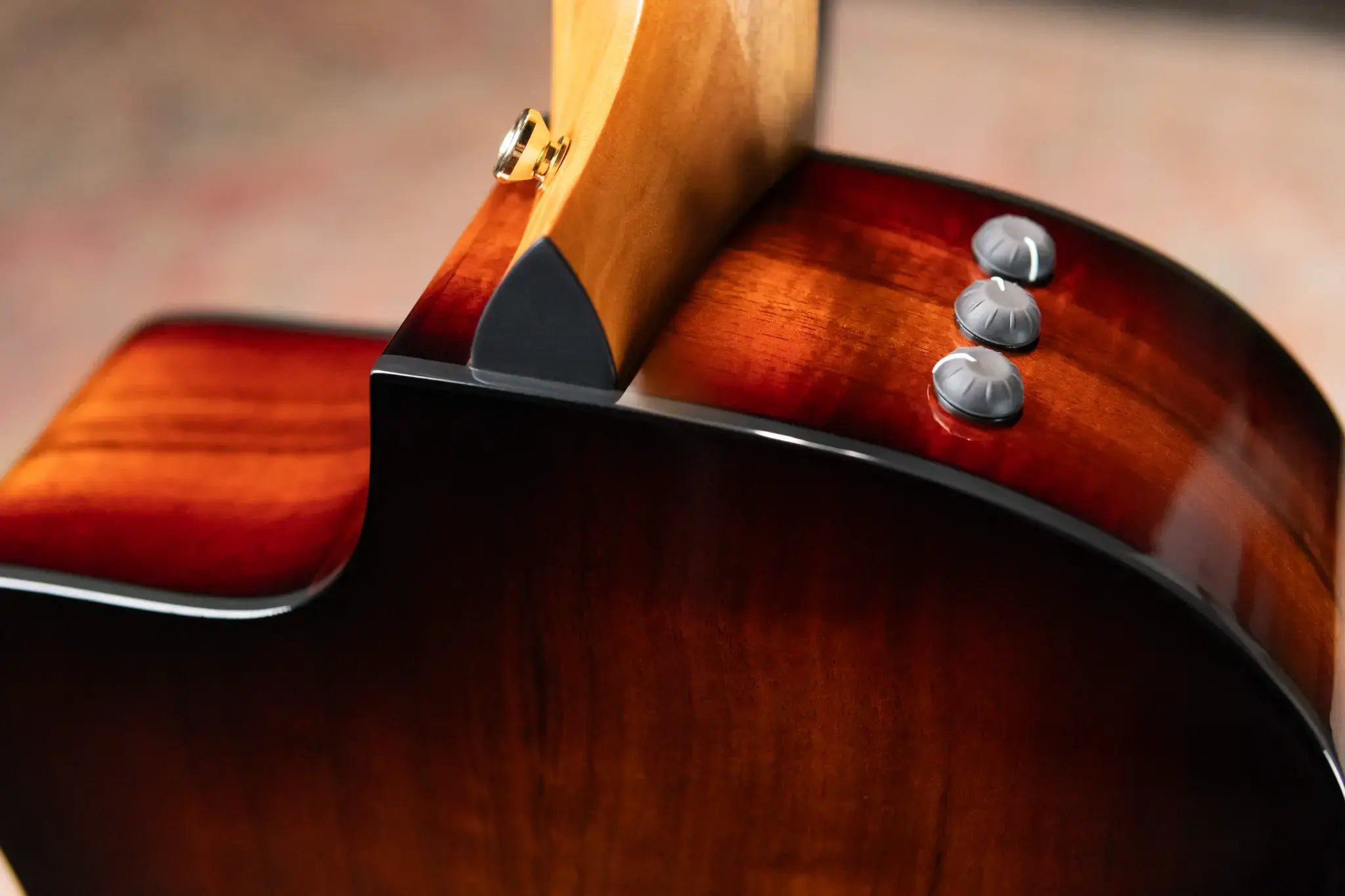 Taylor 224ce-K DLX Grand Auditorium Acoustic/Electric Guitar with Hardshell Case - Factory Demo