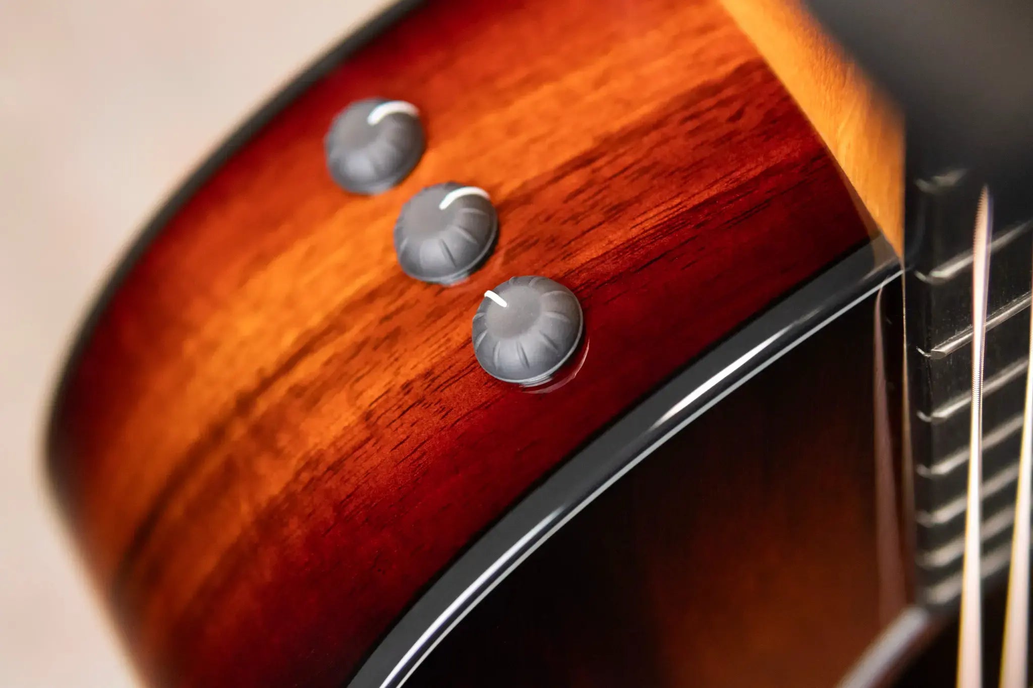 Taylor 224ce-K DLX Grand Auditorium Acoustic/Electric Guitar with Hardshell Case - Factory Demo