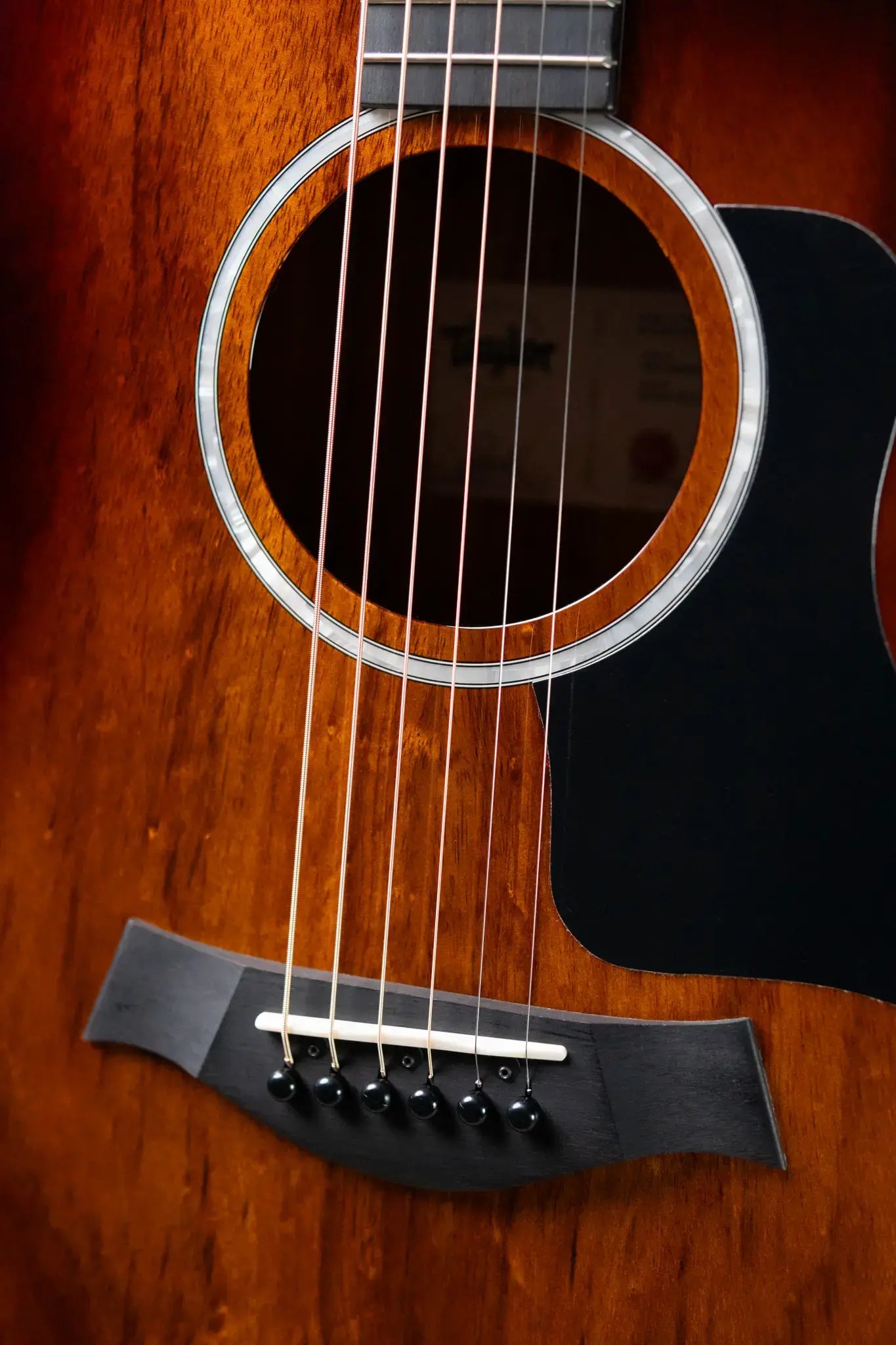 Taylor 224ce-K DLX Grand Auditorium Acoustic/Electric Guitar with Hardshell Case - Factory Demo