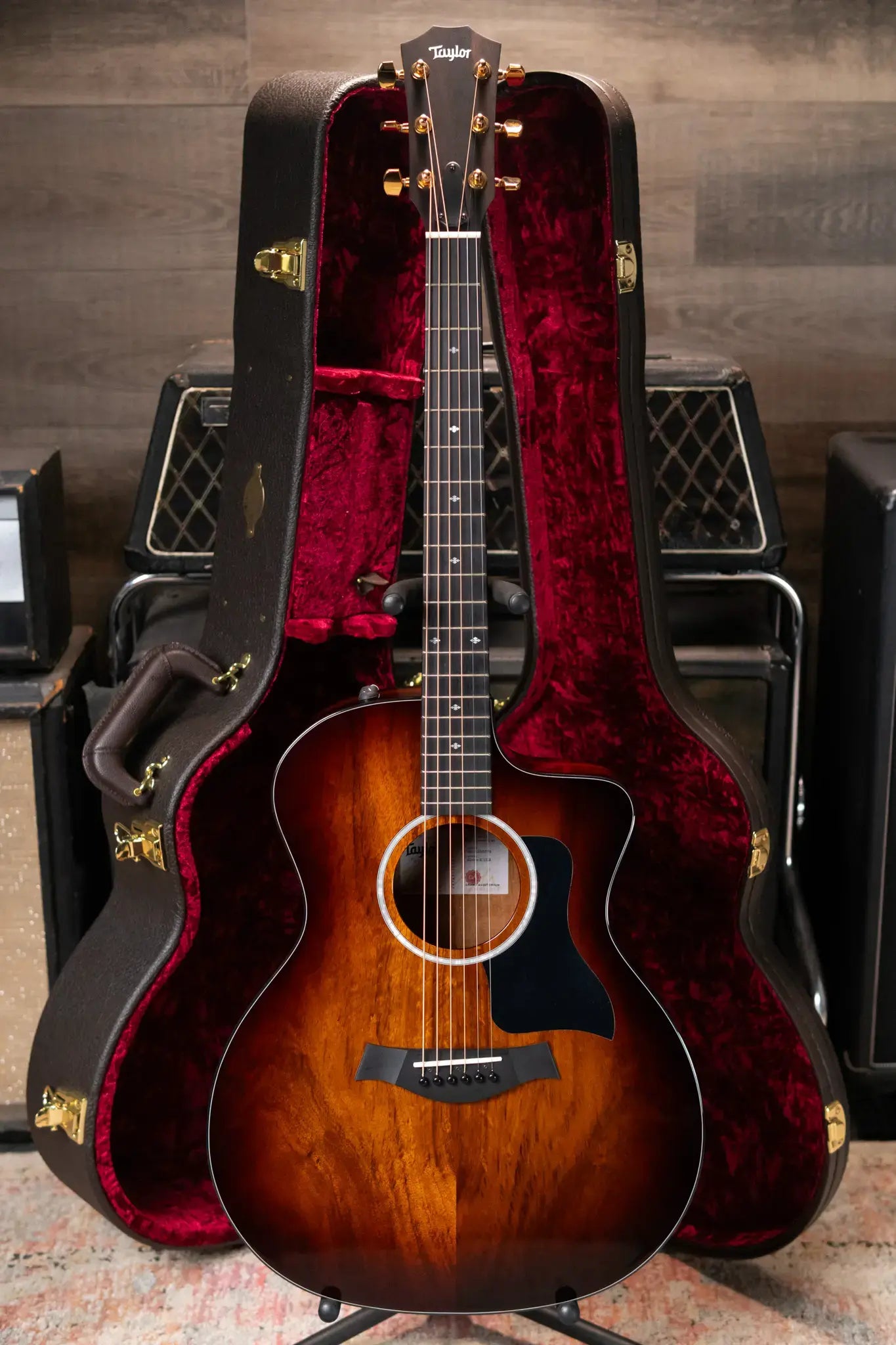 Taylor 224ce-K DLX Grand Auditorium Acoustic/Electric Guitar with Hardshell Case - Factory Demo