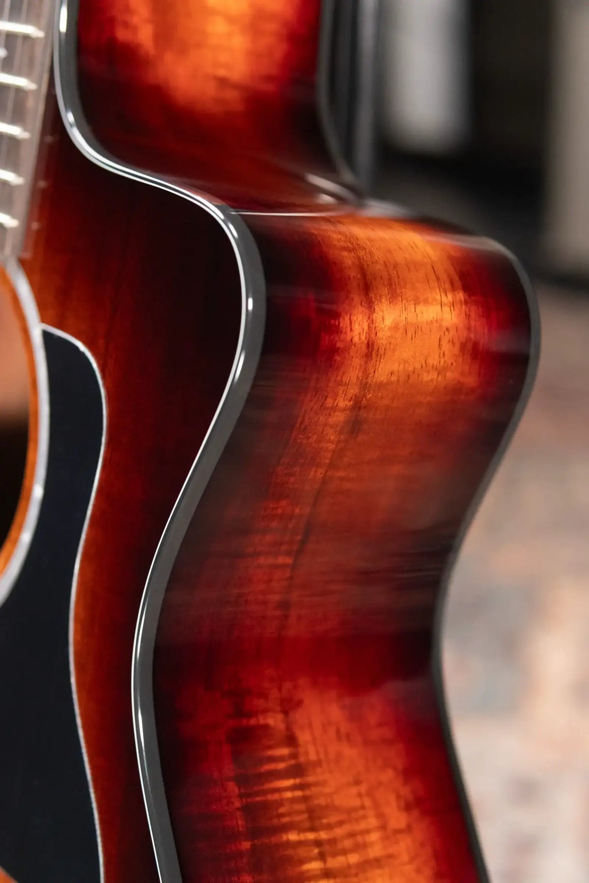 Taylor 224ce-K DLX Grand Auditorium Acoustic/Electric Guitar with Hardshell Case - Display Model