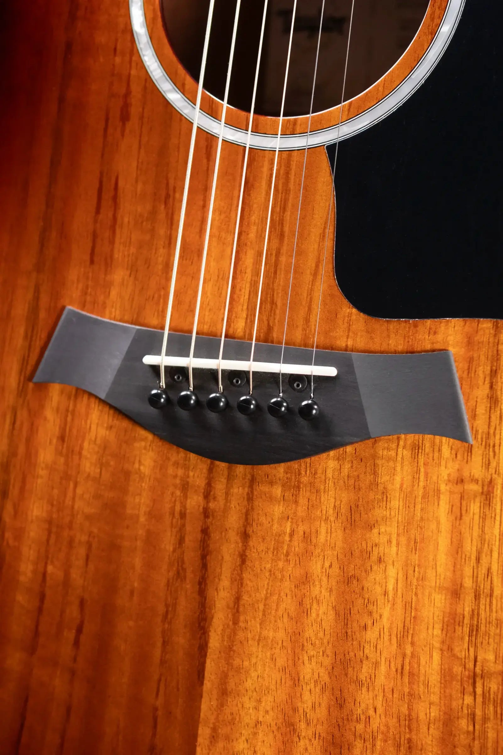 Taylor 224ce-K DLX Grand Auditorium Acoustic/Electric Guitar with Hardshell Case