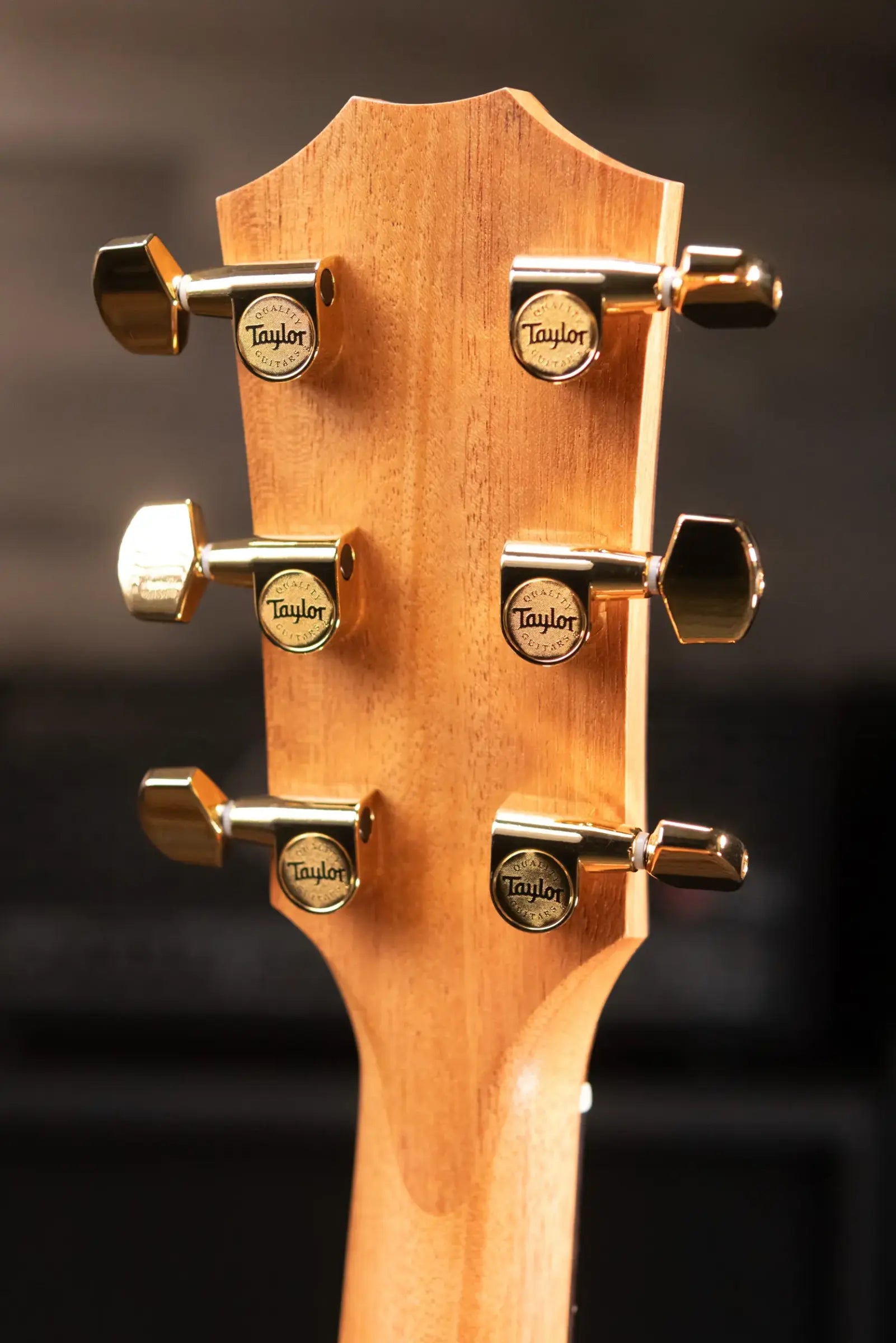 Taylor 224ce-K DLX Left-Handed Grand Auditorium Acoustic/Electric Guitar - Shaded Edge Burst with Hardshell Case