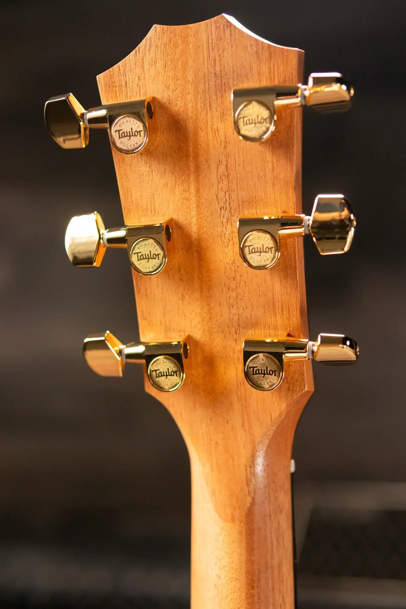 Taylor 224ce-K DLX Left-Handed Grand Auditorium Acoustic/Electric Guitar with Hardshell Case