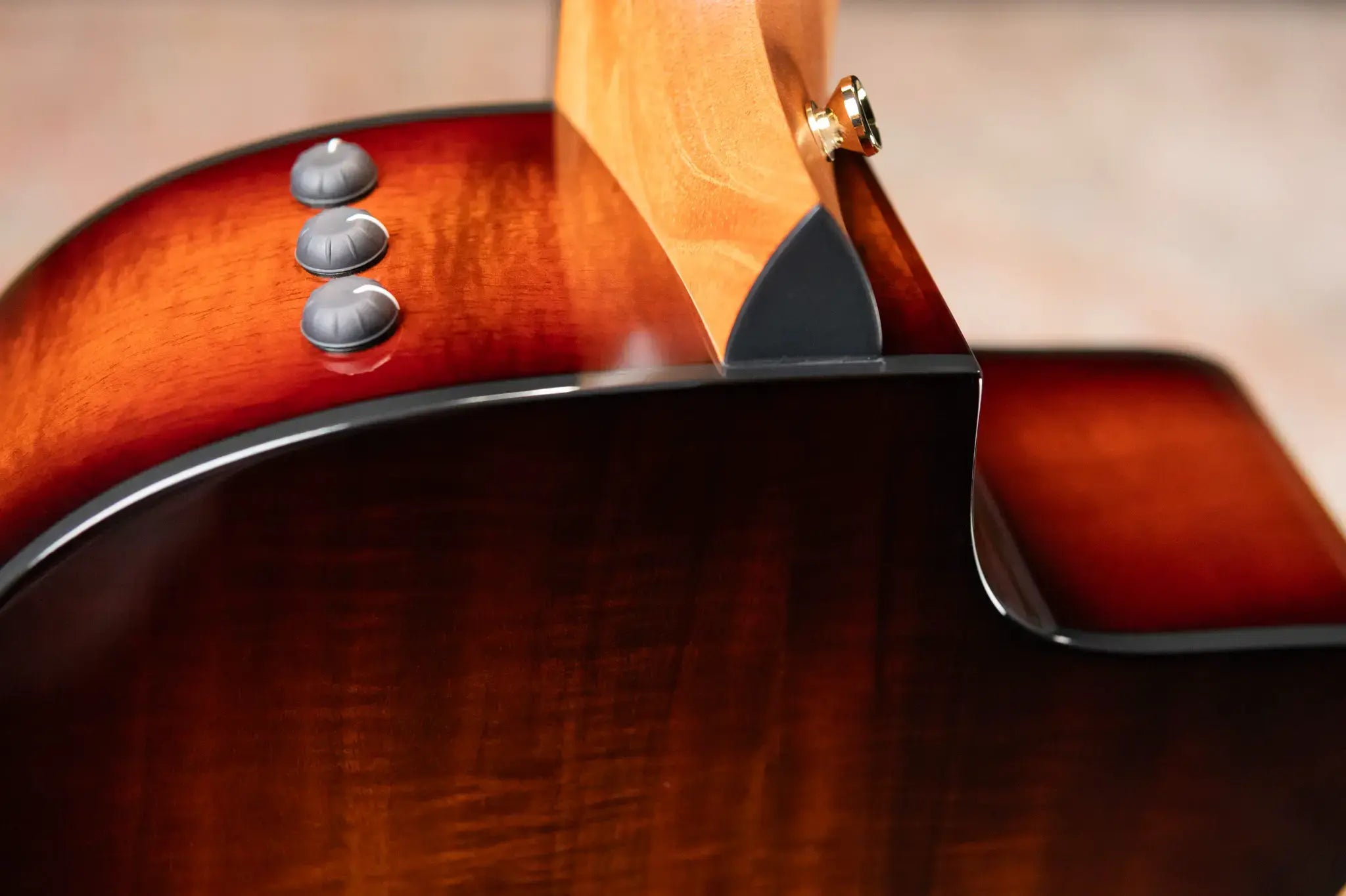 Taylor 224ce-K DLX Left-Handed Grand Auditorium Acoustic/Electric Guitar with Hardshell Case
