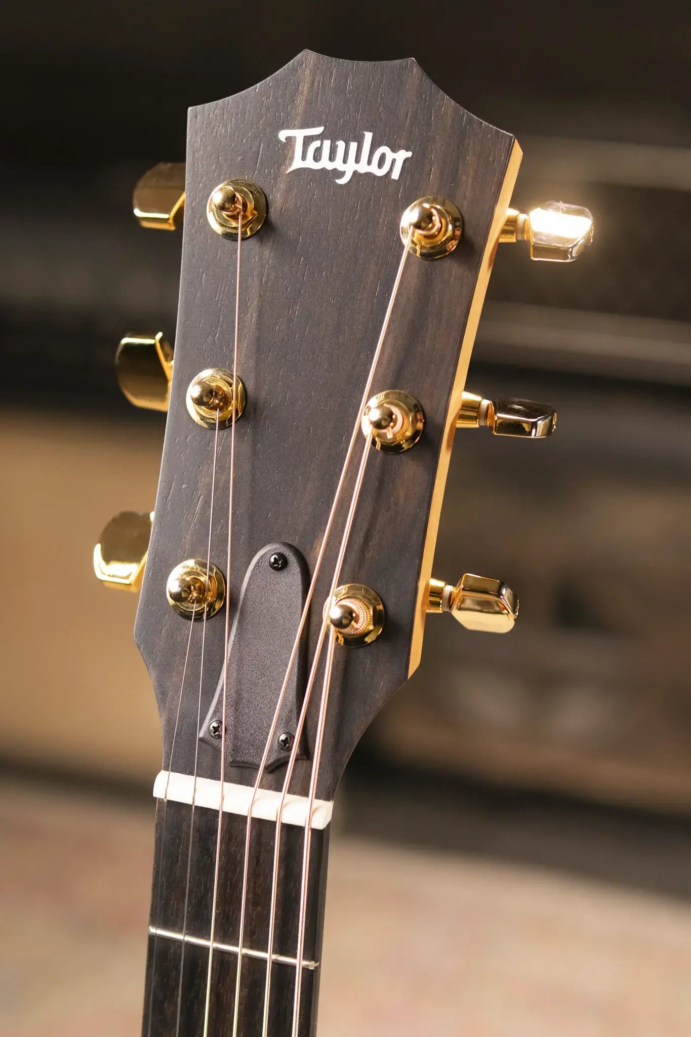 Taylor 224ce-K DLX Left-Handed Grand Auditorium Acoustic/Electric Guitar with Hardshell Case