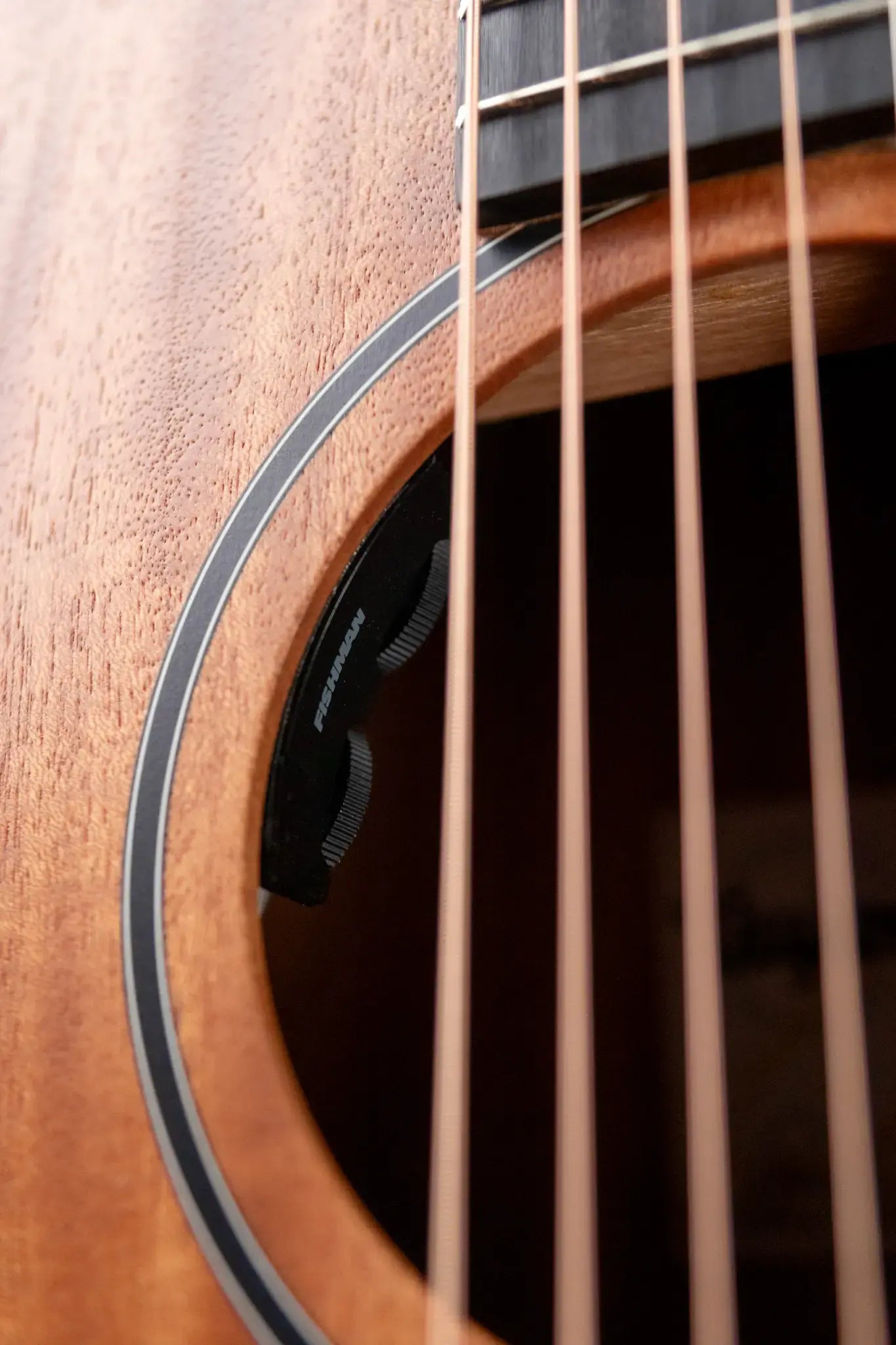 Taylor 24ce Grand Auditorium Acoustic/Electric Guitar with Gig Bag
