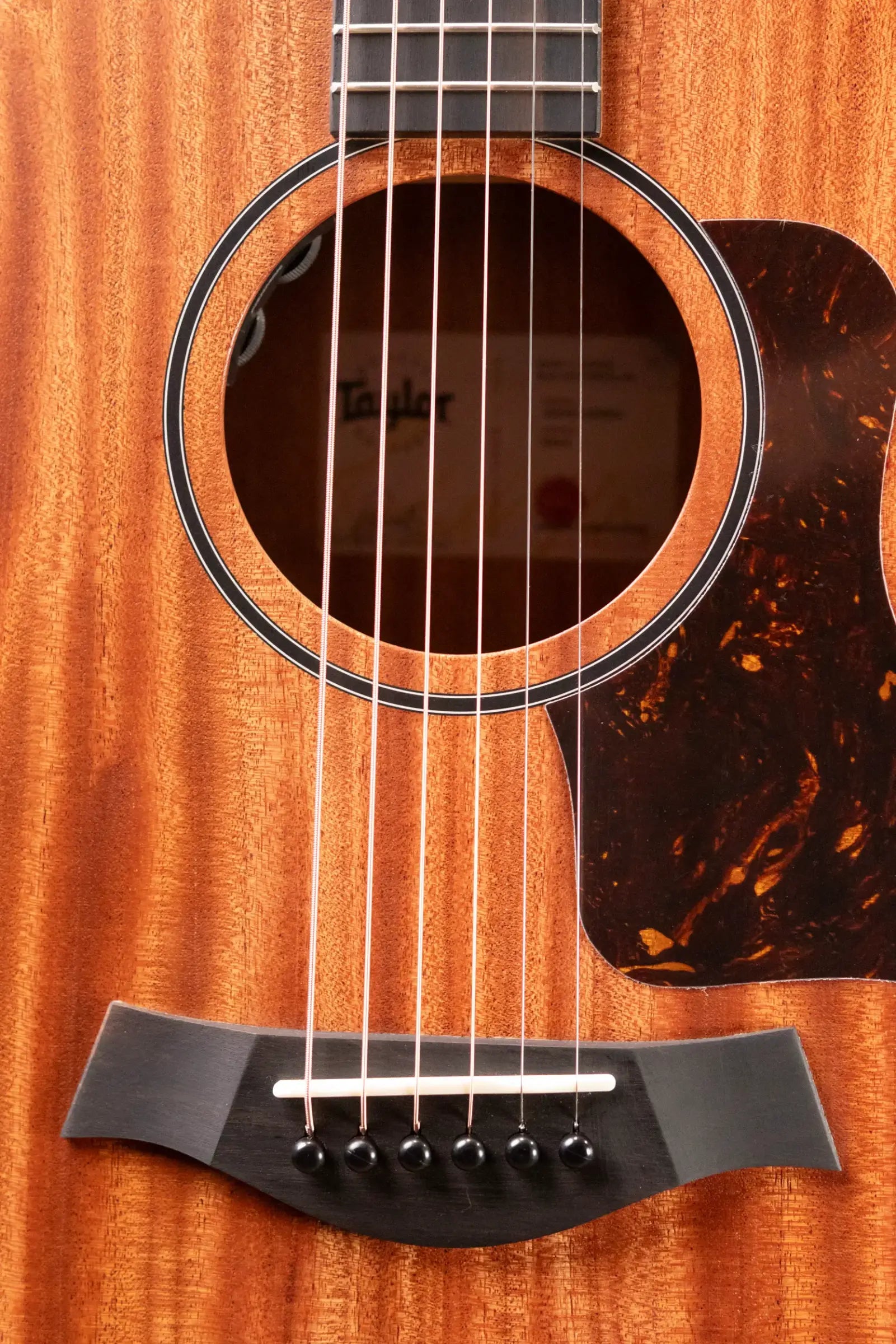 Taylor 24ce Grand Auditorium Acoustic/Electric Guitar with Gig Bag