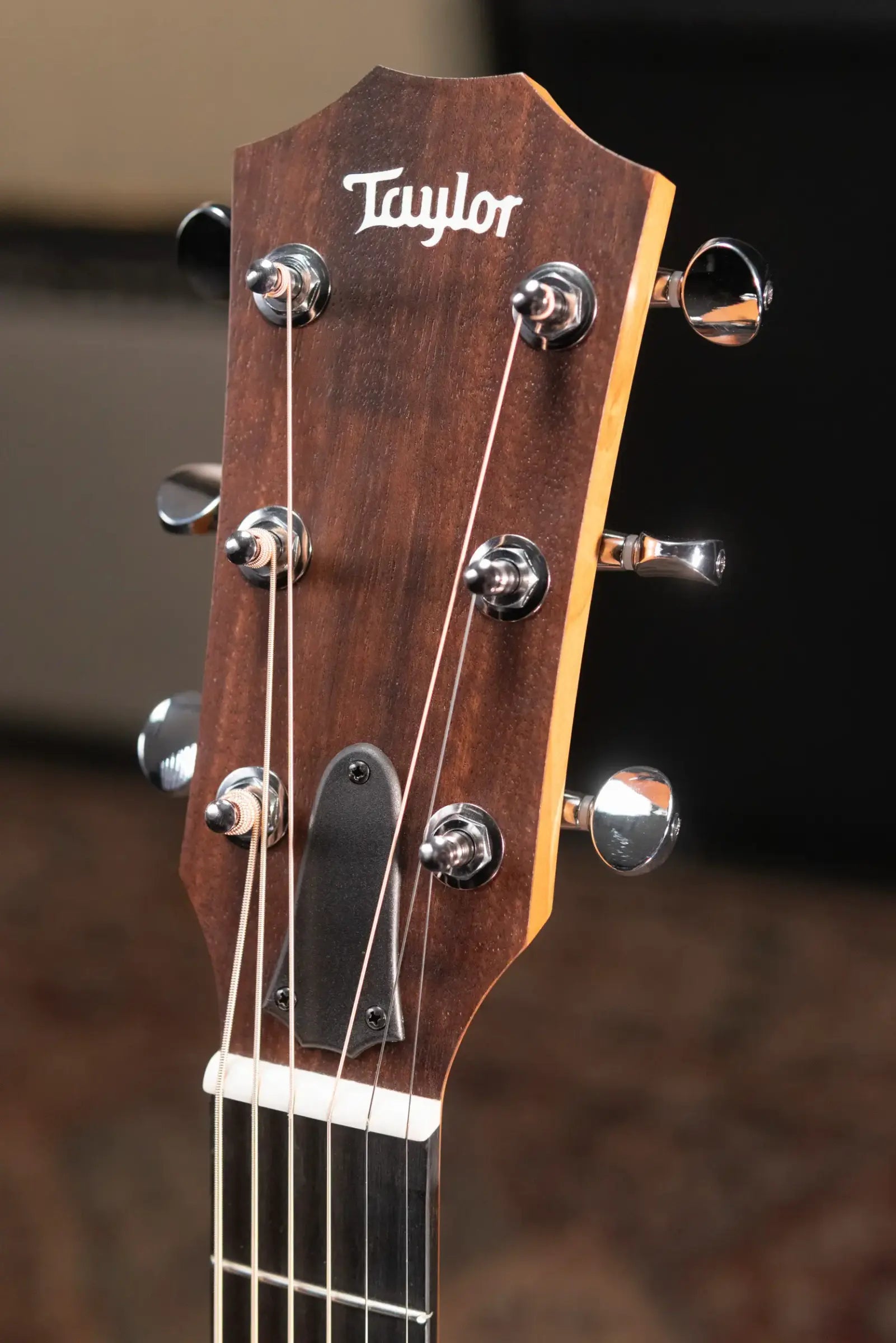 Taylor 24ce Grand Auditorium Acoustic/Electric Guitar with Gig Bag