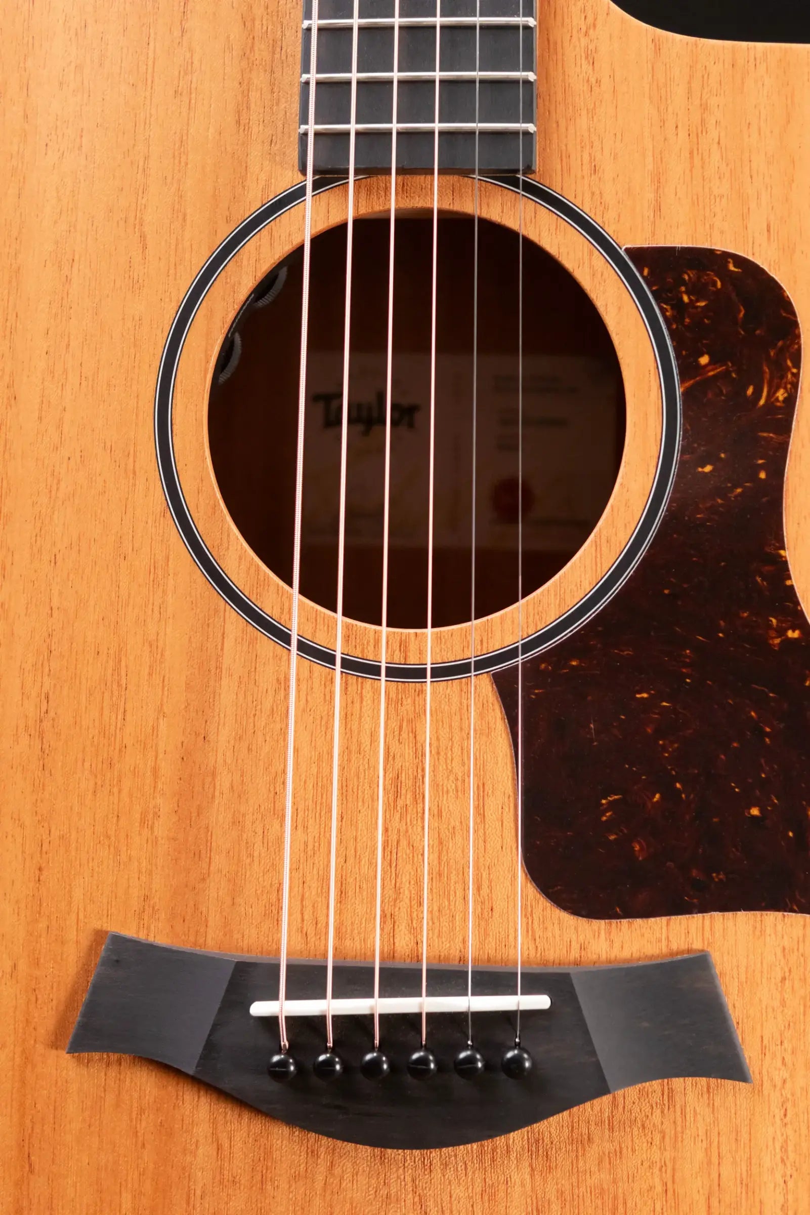 Taylor 24ce Grand Auditorium Acoustic/Electric Guitar with Gig Bag