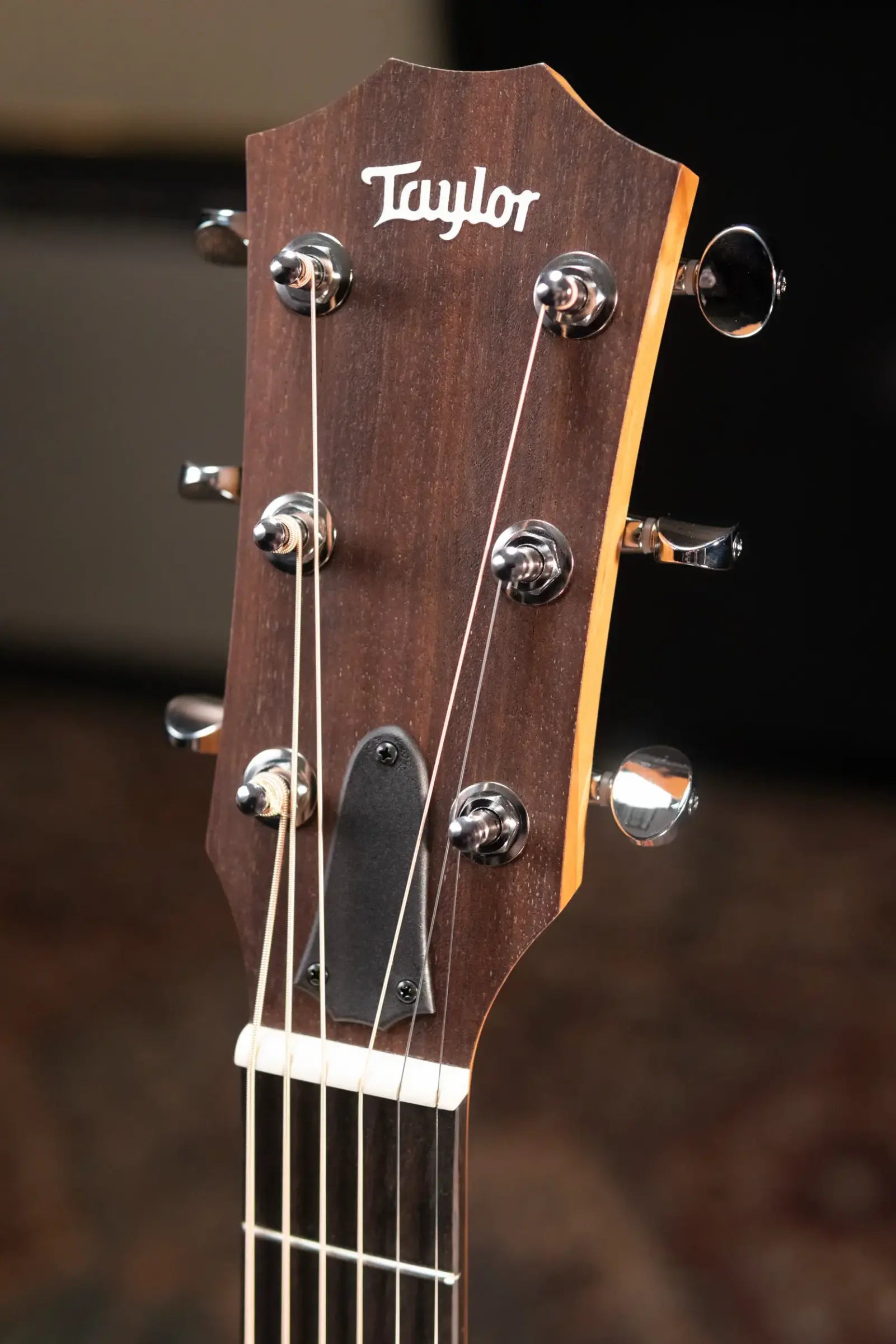 Taylor 24ce Grand Auditorium Acoustic/Electric Guitar with Gig Bag
