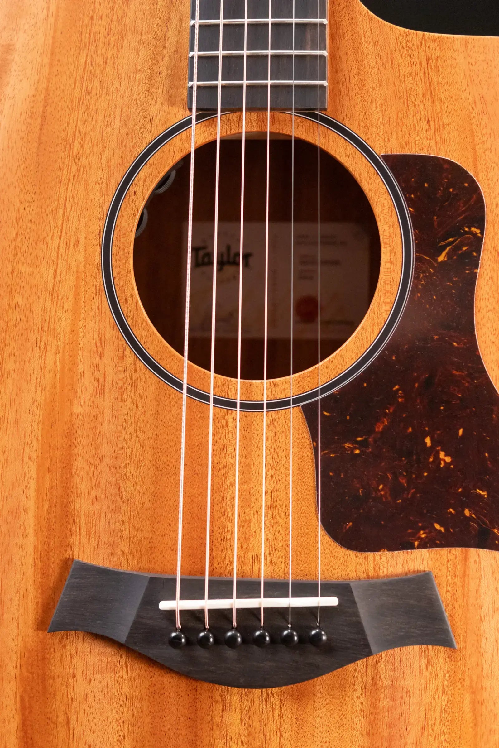 Taylor 24ce Grand Auditorium Acoustic/Electric Guitar with Gig Bag