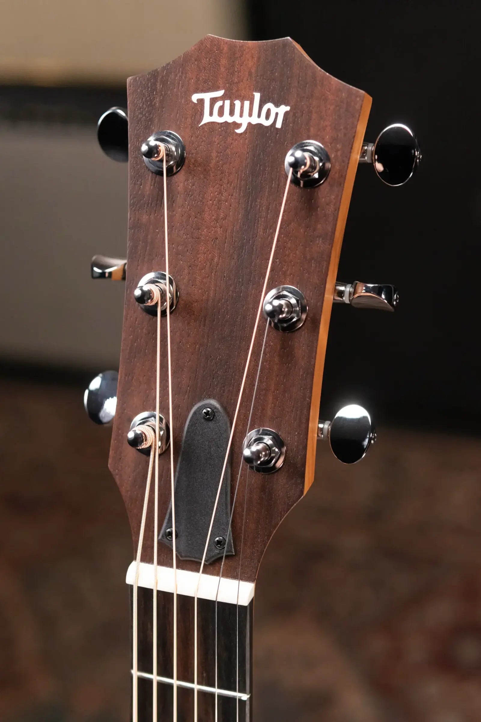 Taylor 24ce Grand Auditorium Acoustic/Electric Guitar with Gig Bag