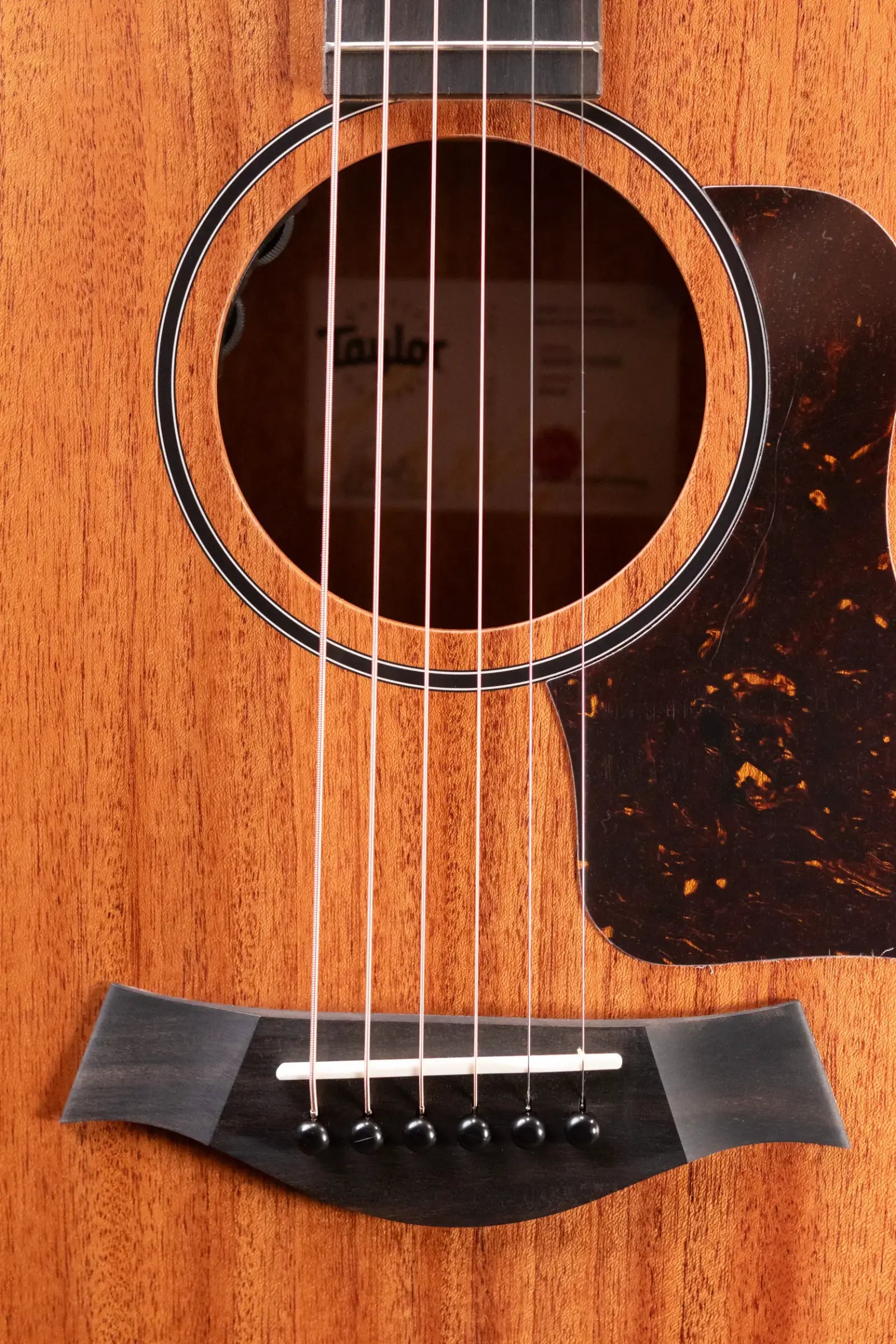 Taylor 24ce Grand Auditorium Acoustic/Electric Guitar with Gig Bag