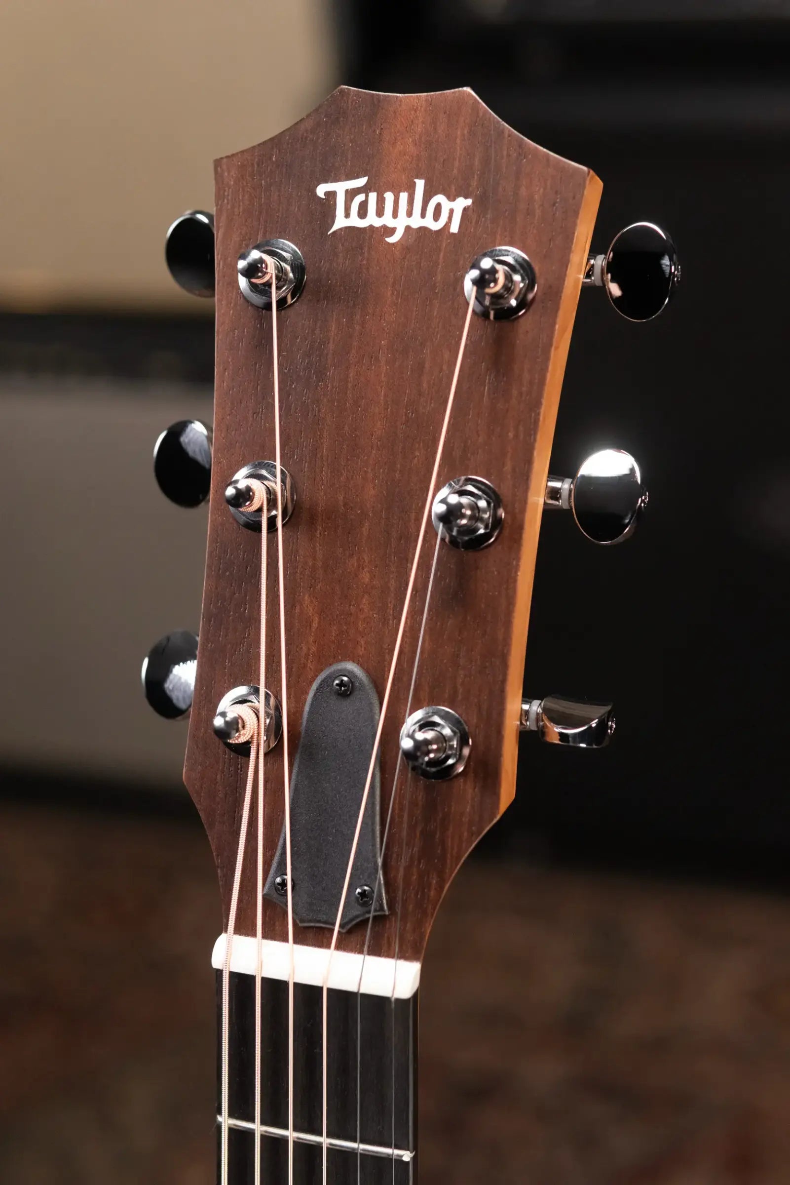Taylor 24ce Grand Auditorium Acoustic/Electric Guitar with Gig Bag