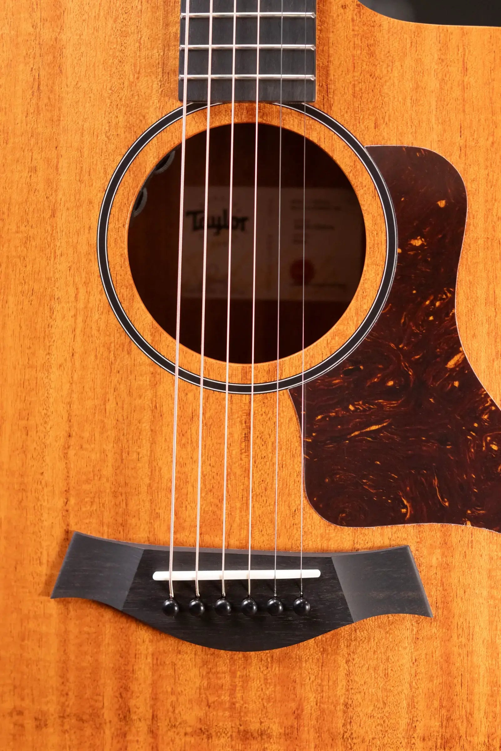 Taylor 24ce Grand Auditorium Acoustic/Electric Guitar with Gig Bag