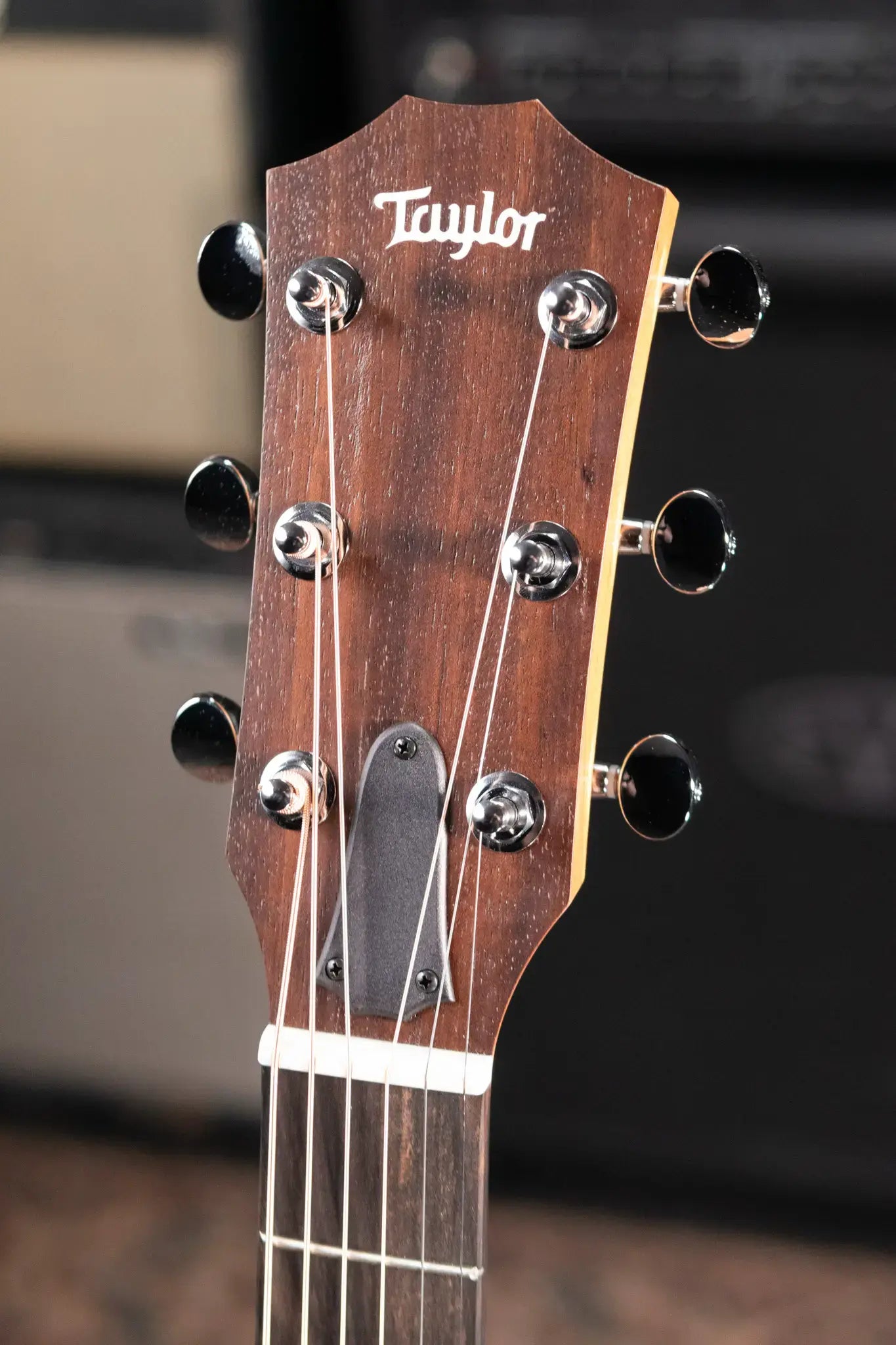 Taylor 24ce Grand Auditorium Acoustic/Electric Guitar with Gig Bag