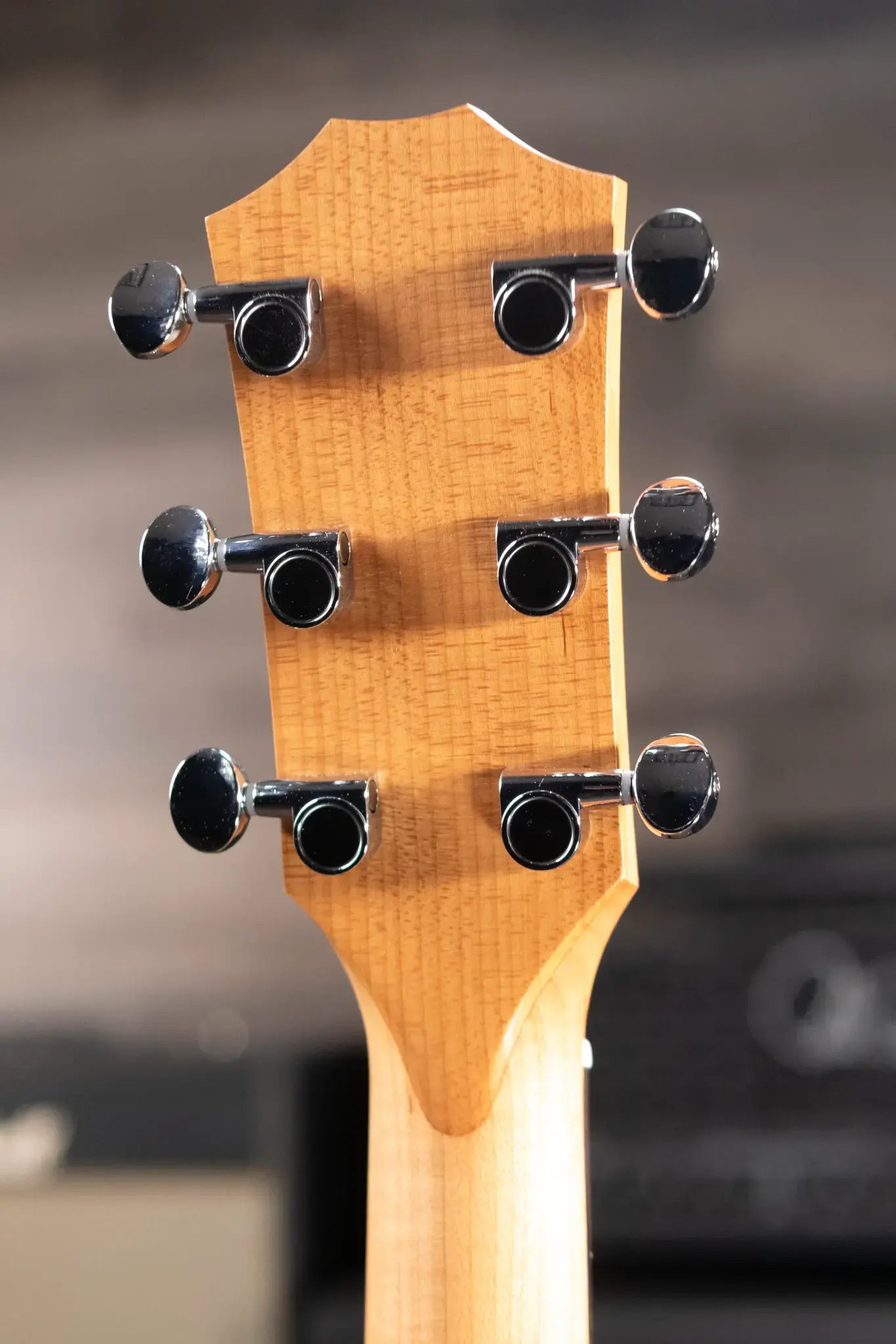 Taylor 24ce Grand Auditorium Acoustic/Electric Guitar with Gig Bag