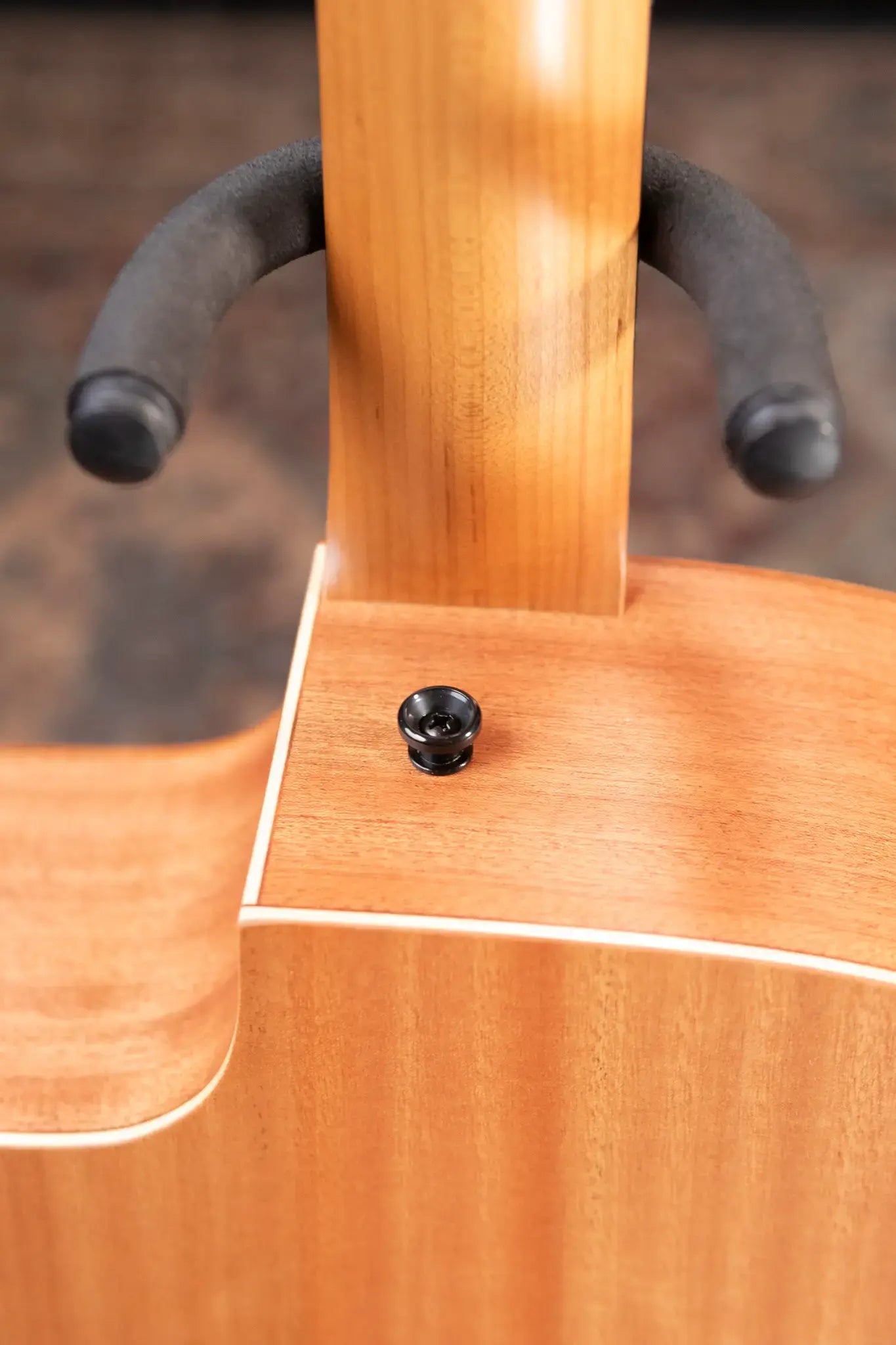 Taylor 24ce Grand Auditorium Acoustic/Electric Guitar with Gig Bag