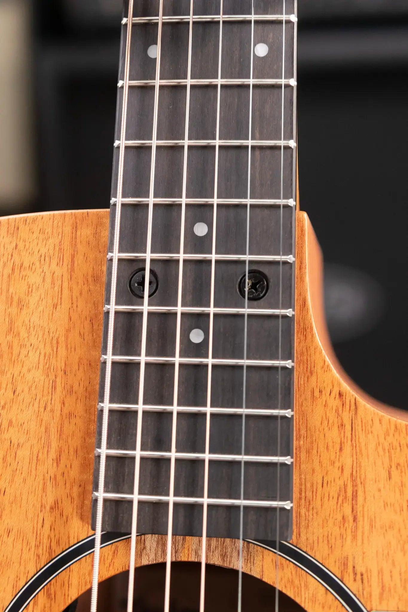 Taylor 24ce Grand Auditorium Acoustic/Electric Guitar with Gig Bag