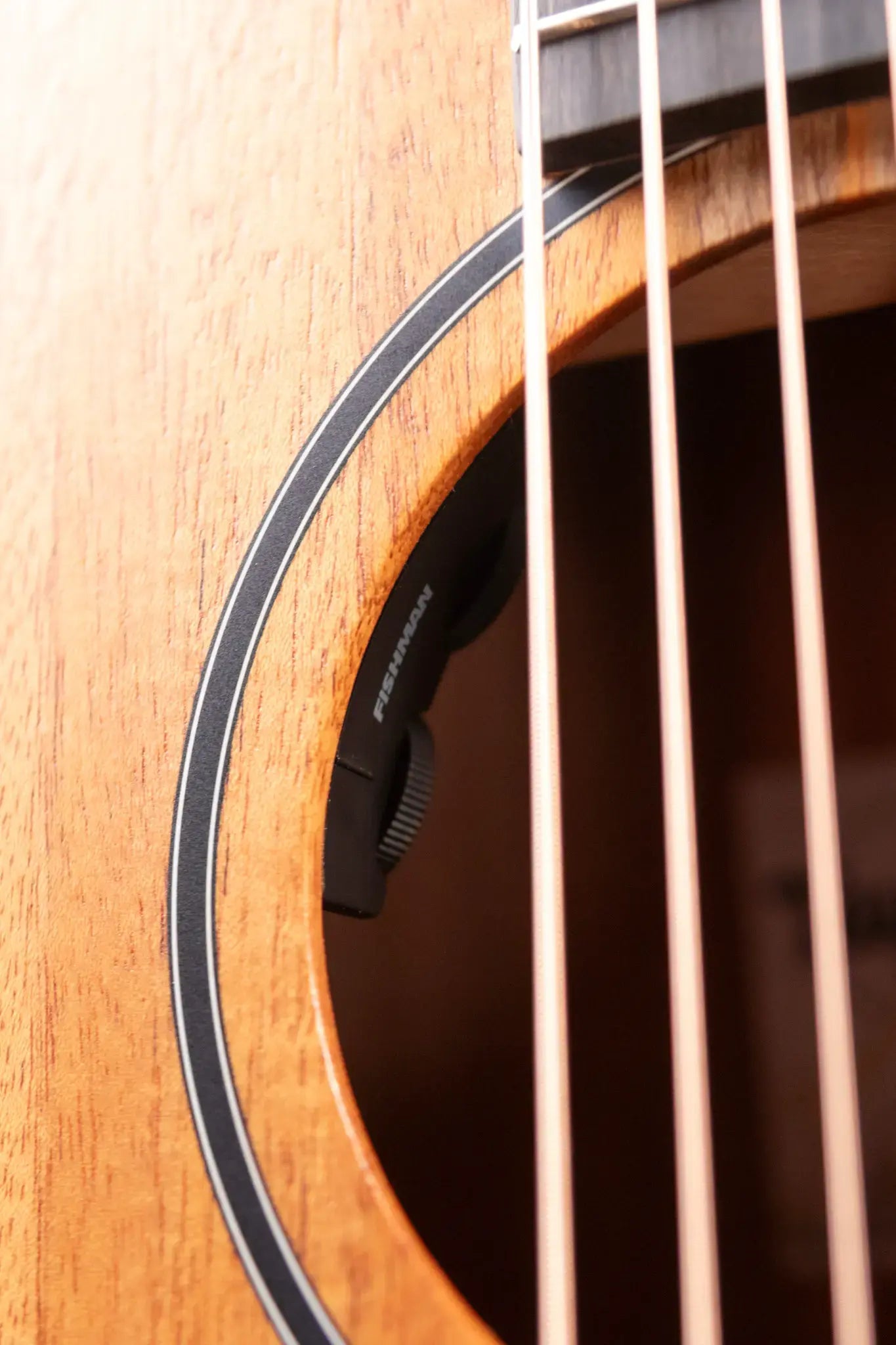 Taylor 24ce Grand Auditorium Acoustic/Electric Guitar with Gig Bag