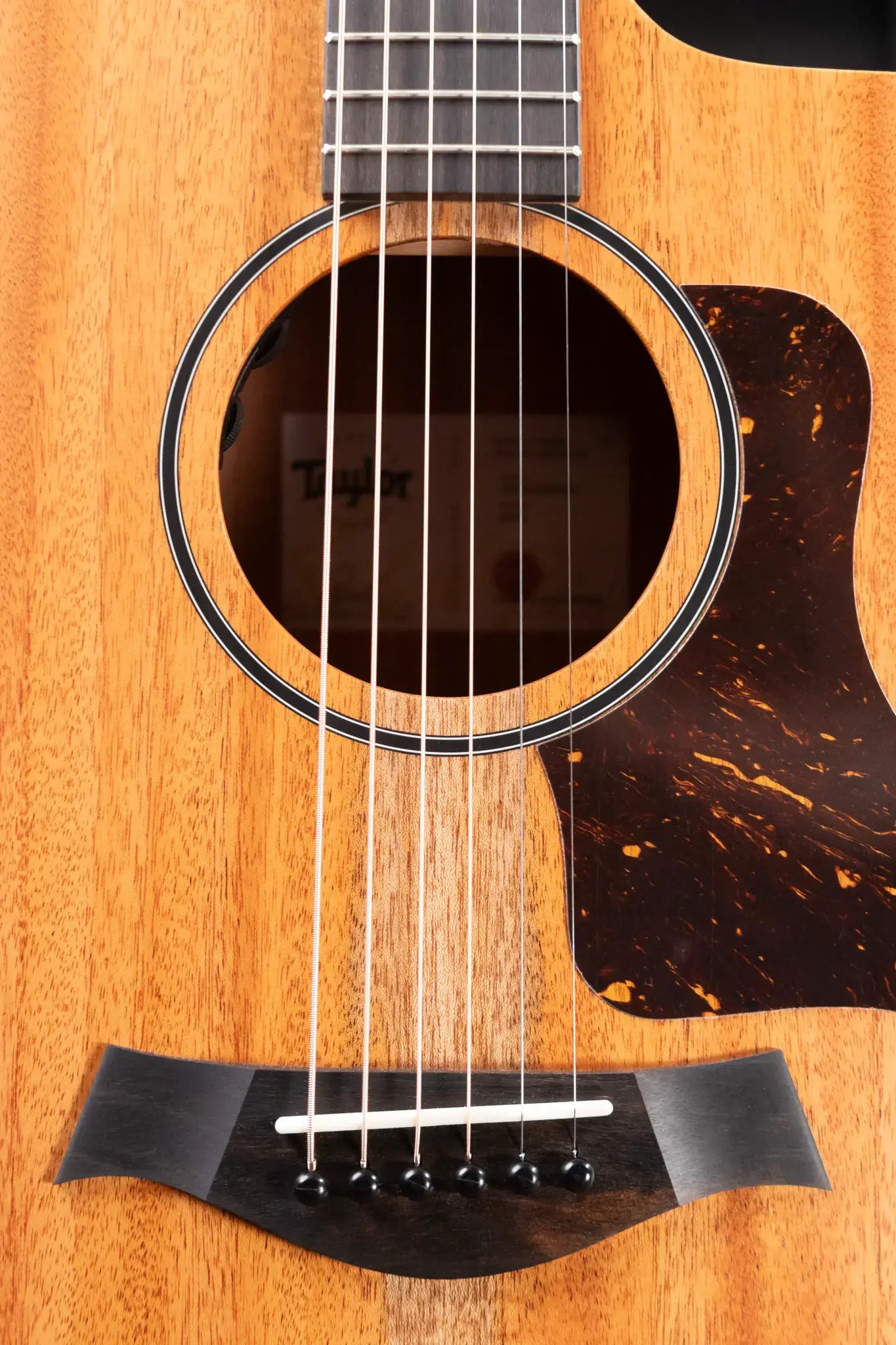 Taylor 24ce Grand Auditorium Acoustic/Electric Guitar with Gig Bag