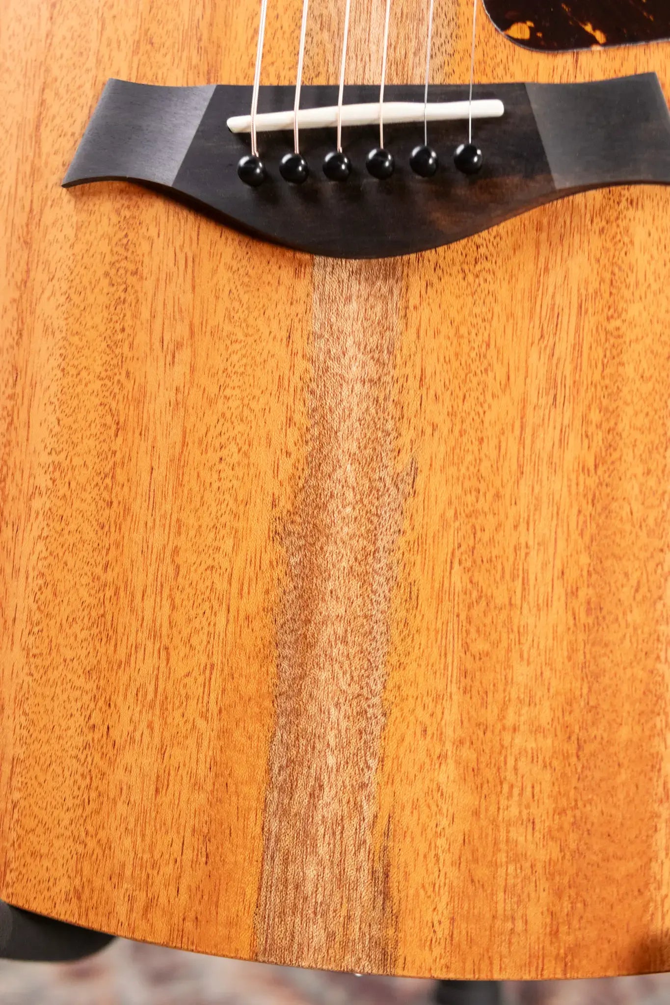 Taylor 24ce Grand Auditorium Acoustic/Electric Guitar with Gig Bag