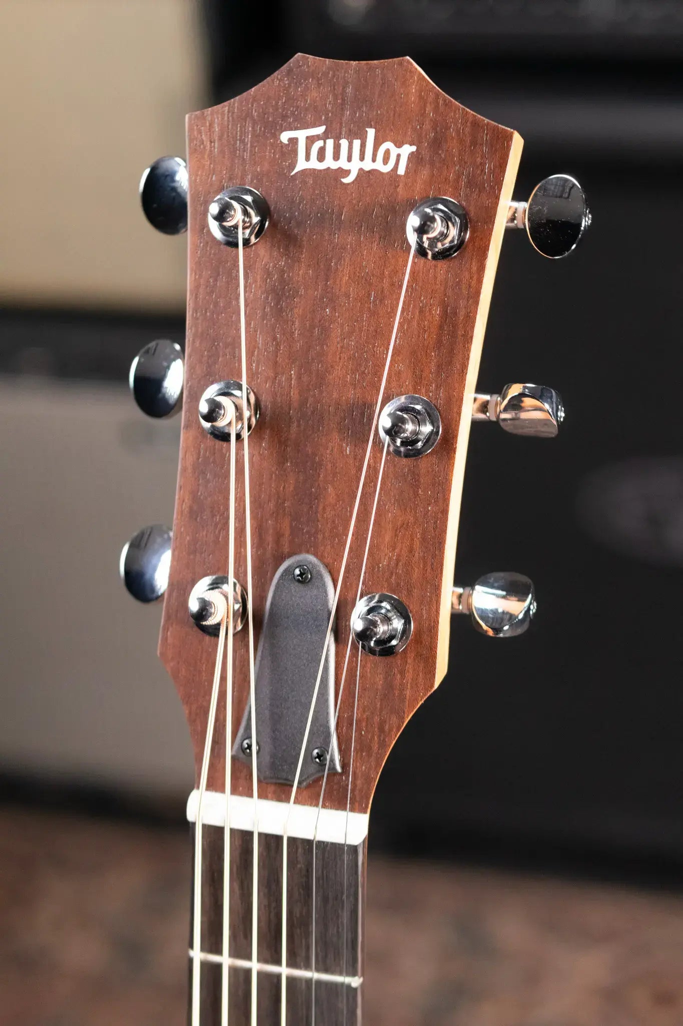 Taylor 24ce Grand Auditorium Acoustic/Electric Guitar with Gig Bag