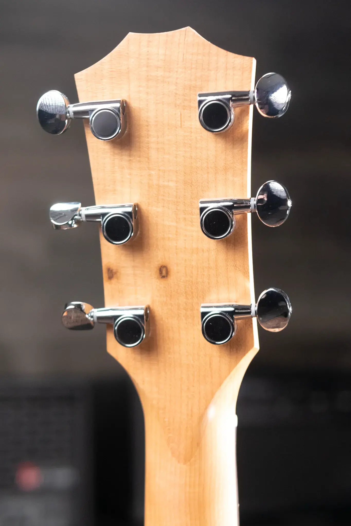 Taylor 24ce Grand Auditorium Acoustic/Electric Guitar with Gig Bag