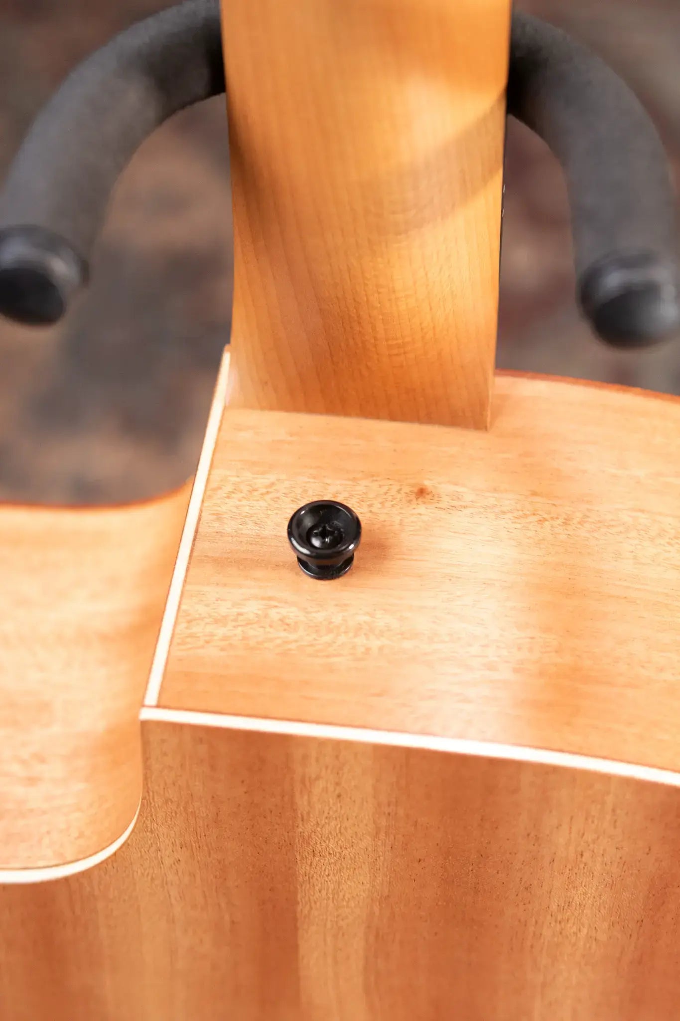 Taylor 24ce Grand Auditorium Acoustic/Electric Guitar with Gig Bag