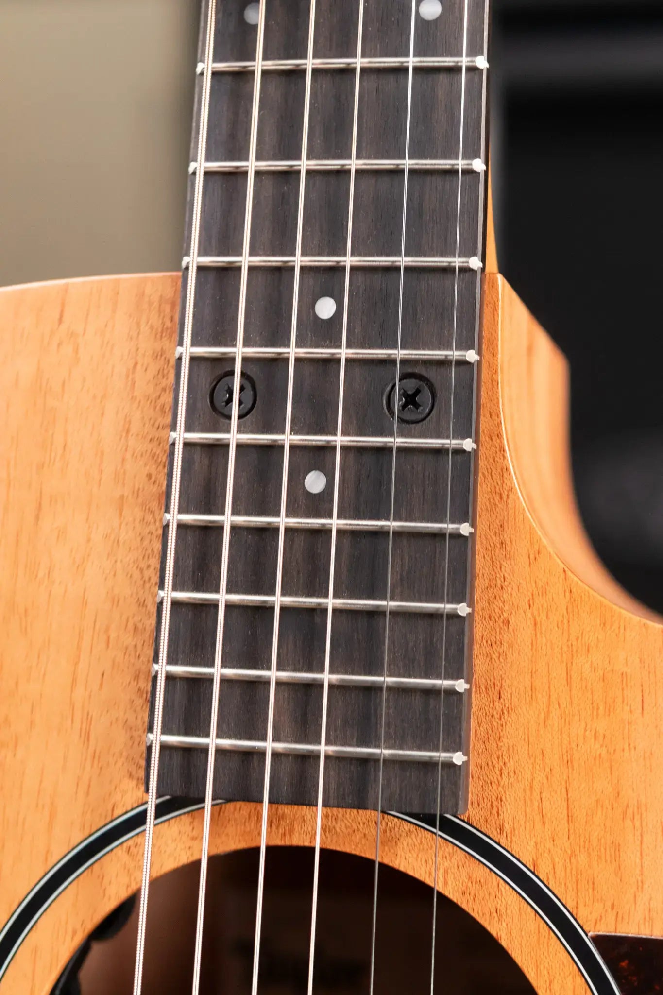 Taylor 24ce Grand Auditorium Acoustic/Electric Guitar with Gig Bag