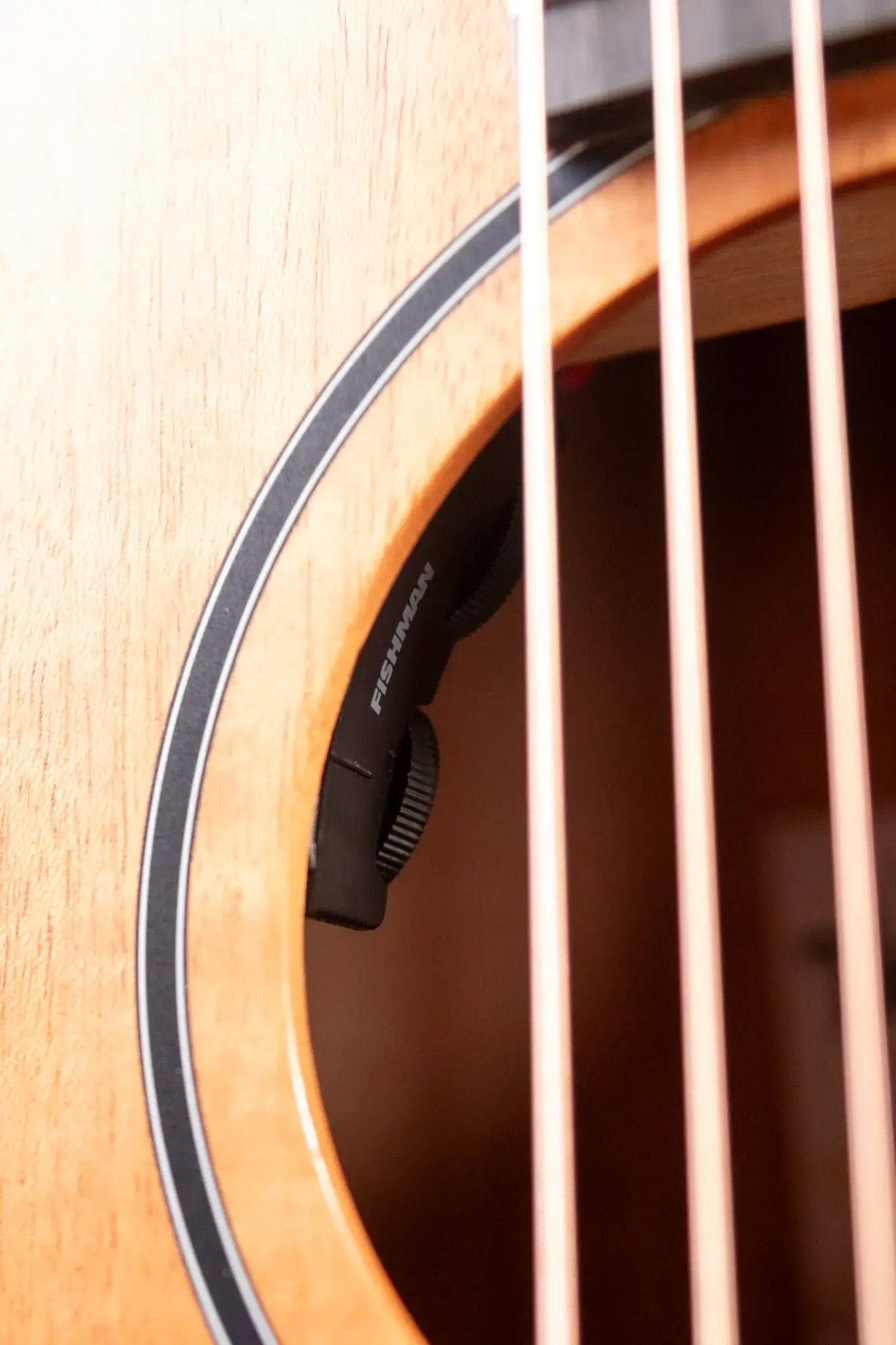 Taylor 24ce Grand Auditorium Acoustic/Electric Guitar with Gig Bag