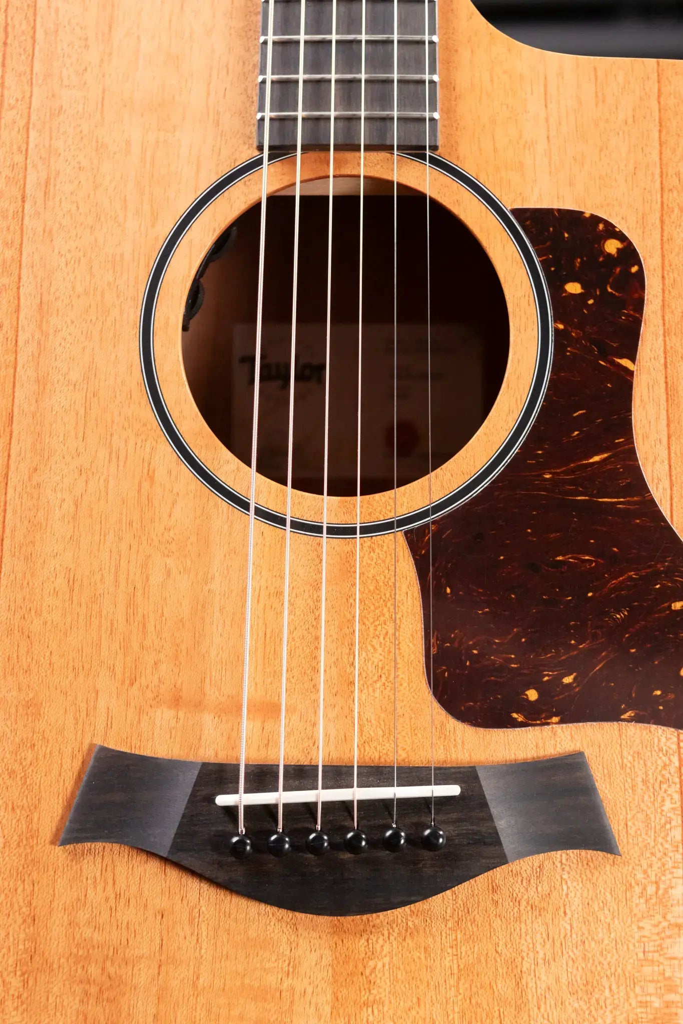 Taylor 24ce Grand Auditorium Acoustic/Electric Guitar with Gig Bag