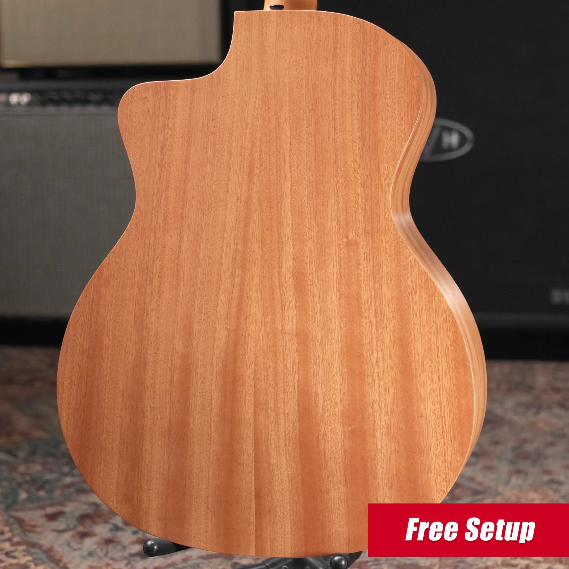 Taylor 24ce Grand Auditorium Acoustic/Electric Guitar with Gig Bag