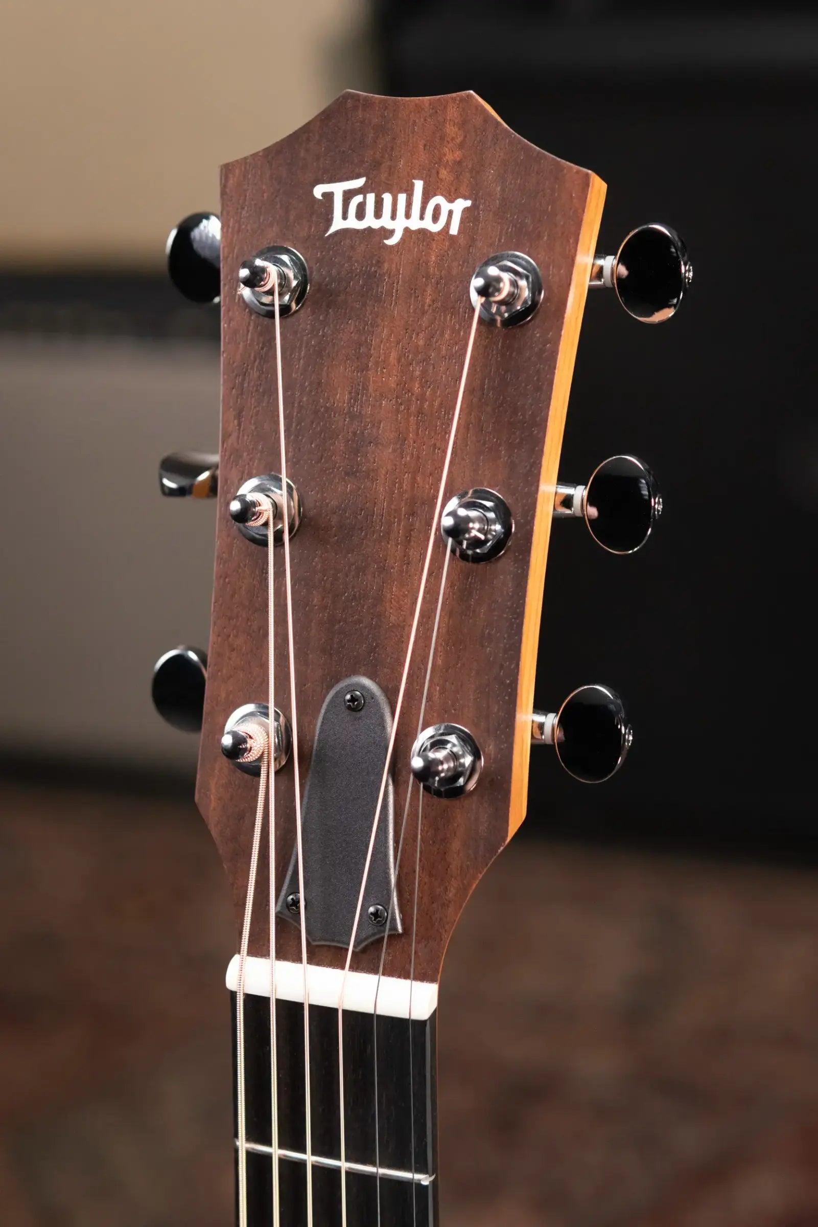 Taylor 24ce Grand Auditorium Acoustic/Electric Guitar with Gig Bag