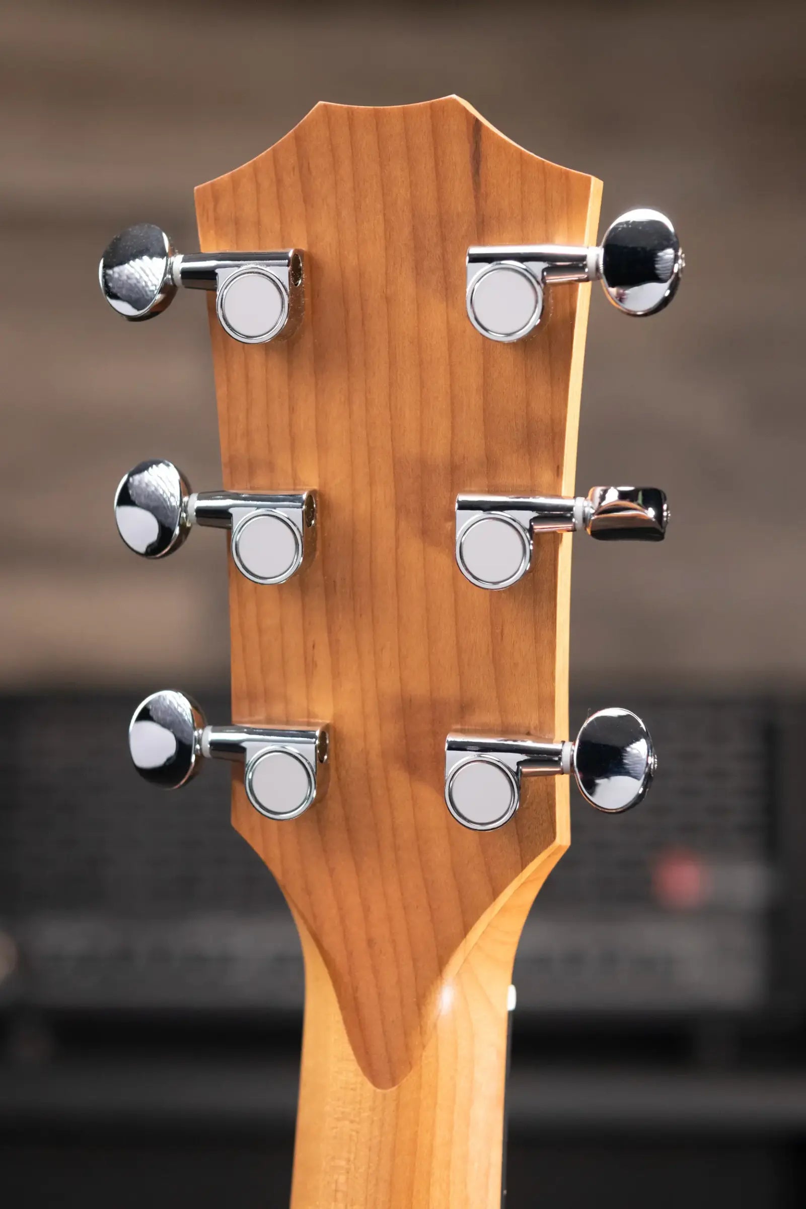 Taylor 24ce Grand Auditorium Acoustic/Electric Guitar with Gig Bag