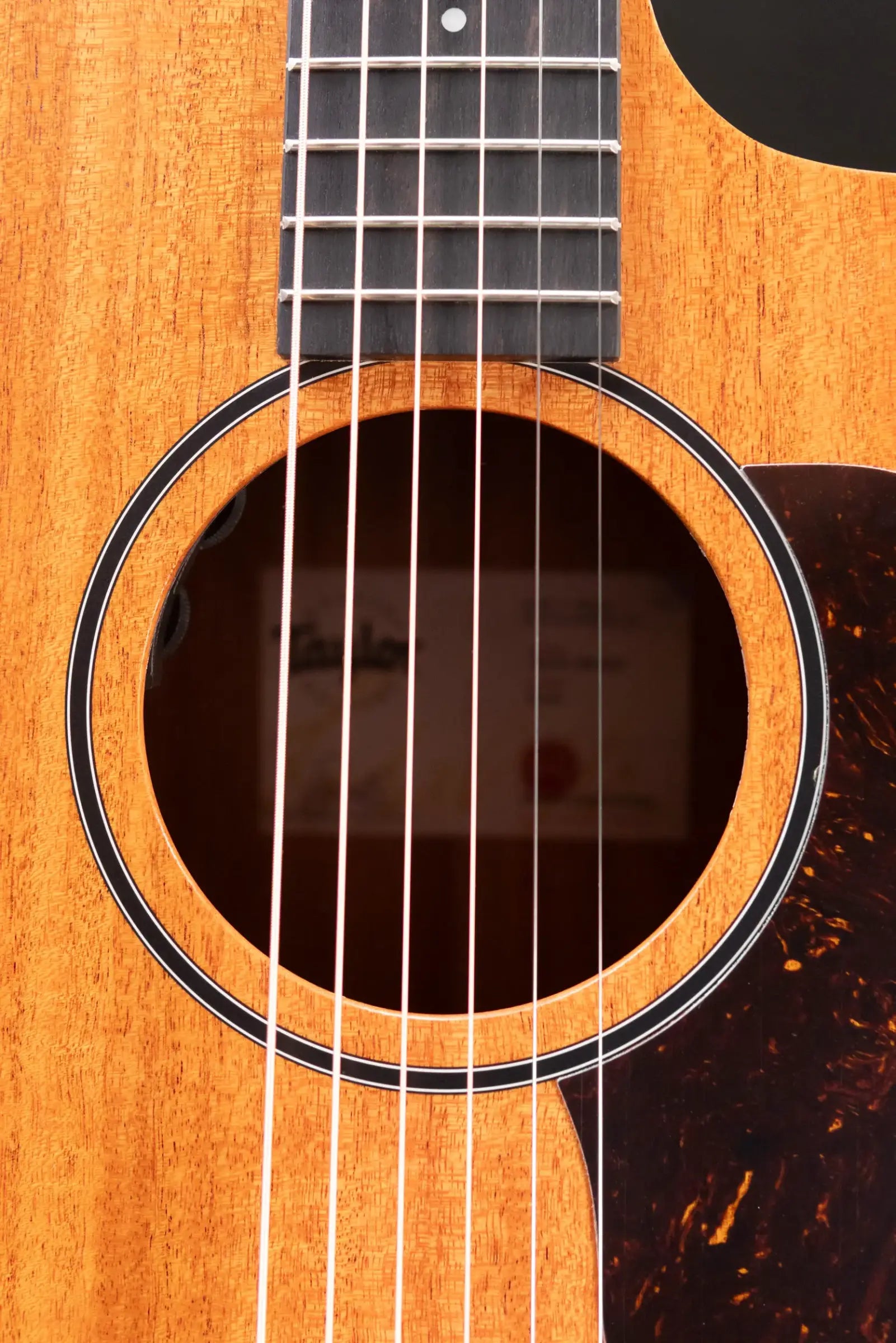 Taylor 24ce Grand Auditorium Acoustic/Electric Guitar with Gig Bag