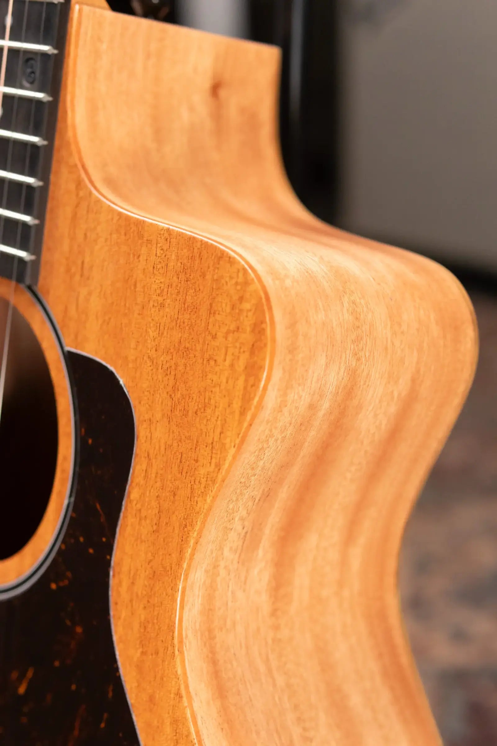 Taylor 24ce Grand Auditorium Acoustic/Electric Guitar with Gig Bag