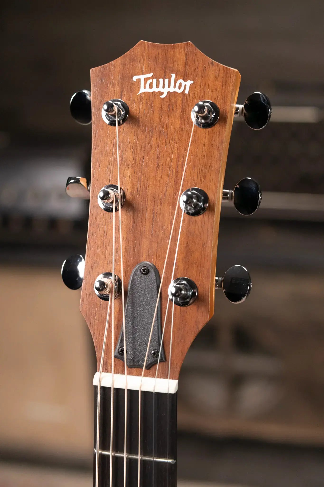 Taylor 24ce Grand Auditorium Acoustic/Electric Guitar with Gig Bag