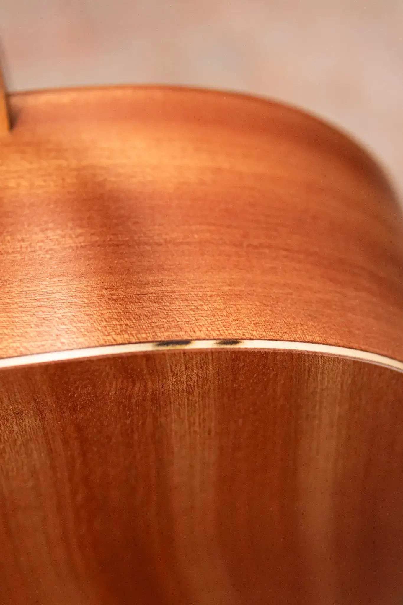 Taylor 24ce Grand Auditorium Acoustic/Electric Guitar with Gig Bag