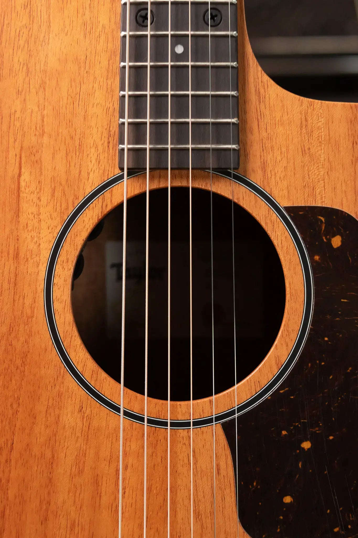 Taylor 24ce Grand Auditorium Acoustic/Electric Guitar with Gig Bag